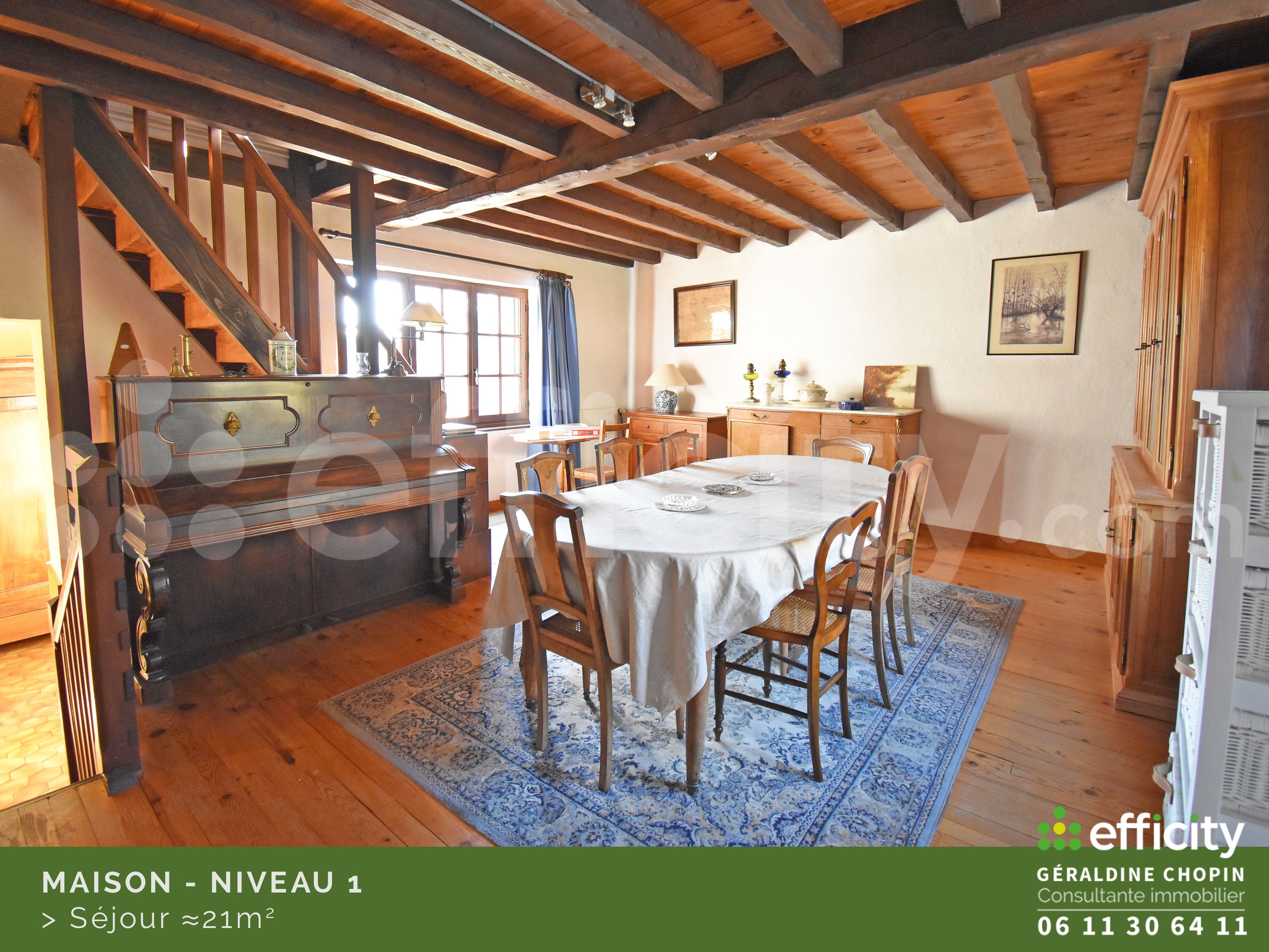 Achat immobilier Maison 7 pièces  160m2 à Saint-Galmier (42330) - Photo n°10