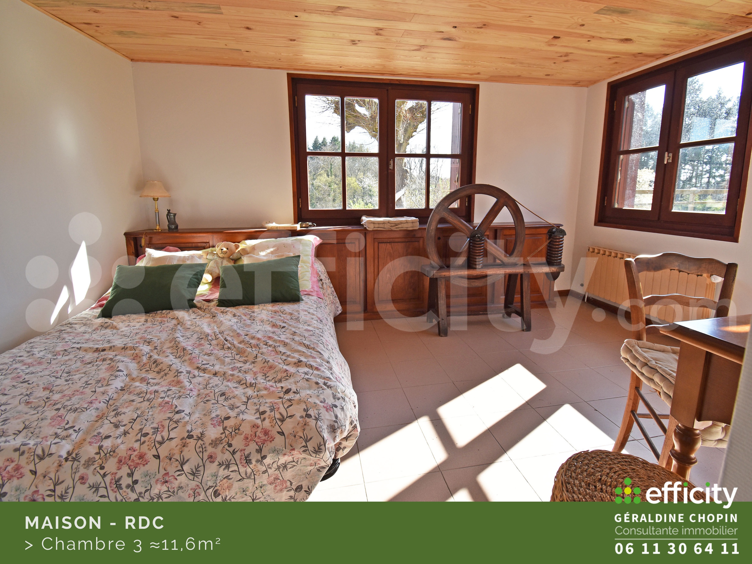 Achat immobilier Maison 7 pièces  160m2 à Saint-Galmier (42330) - Photo n°16
