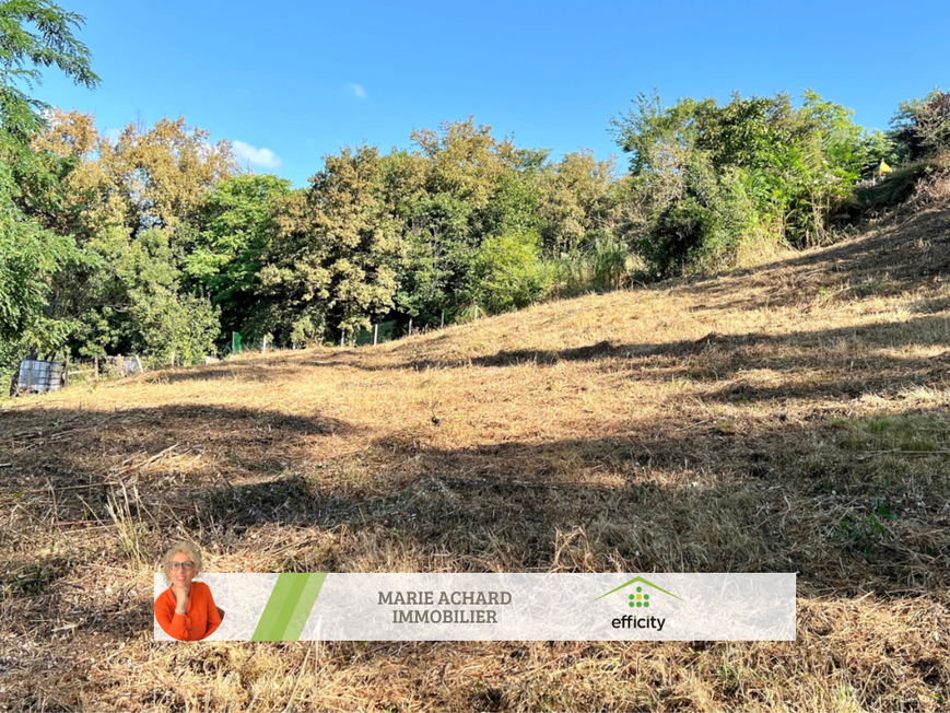 Achat immobilier Terrain   4348m2 à Saint-Martin-la-Plaine (42800) - Photo n°1