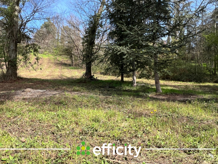 Achat immobilier Terrain   4348m2 à Saint-Martin-la-Plaine (42800) - Photo n°4