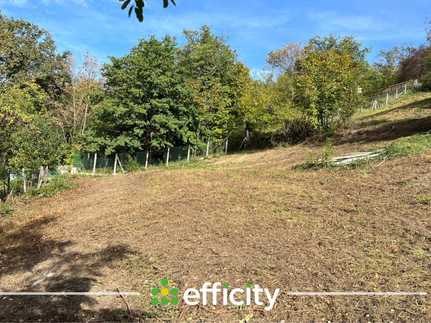 Achat immobilier Terrain   4348m2 à Saint-Martin-la-Plaine (42800) - Photo n°5