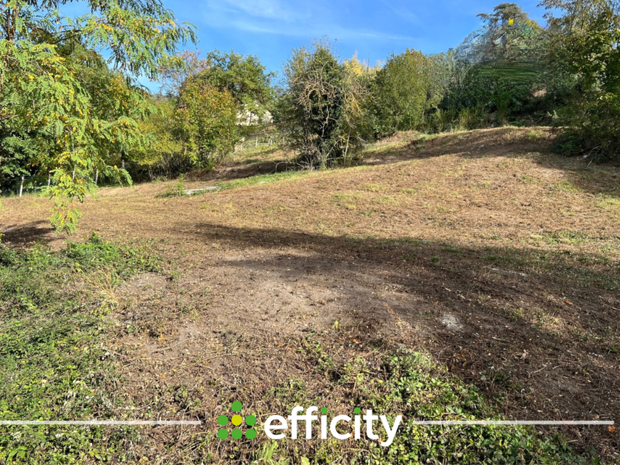 Achat immobilier Terrain   4348m2 à Saint-Martin-la-Plaine (42800) - Photo n°6
