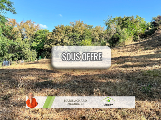 terrain  - 4348m2 à Saint-Martin-la-Plaine (42800)