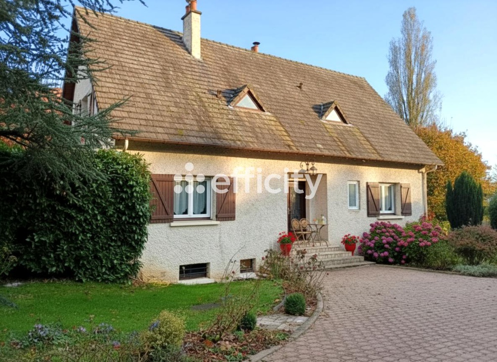 Achat immobilier Maison 6 pièces  183m2 à Sasnières (41310) - Photo n°1