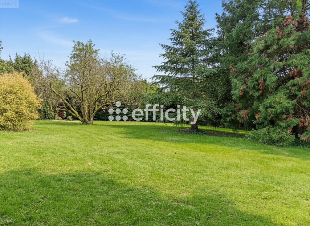 Achat immobilier Maison 6 pièces  183m2 à Sasnières (41310) - Photo n°7