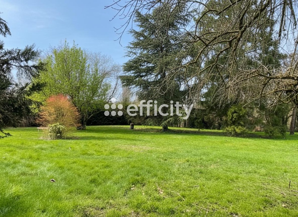 Achat immobilier Maison 6 pièces  183m2 à Sasnières (41310) - Photo n°8