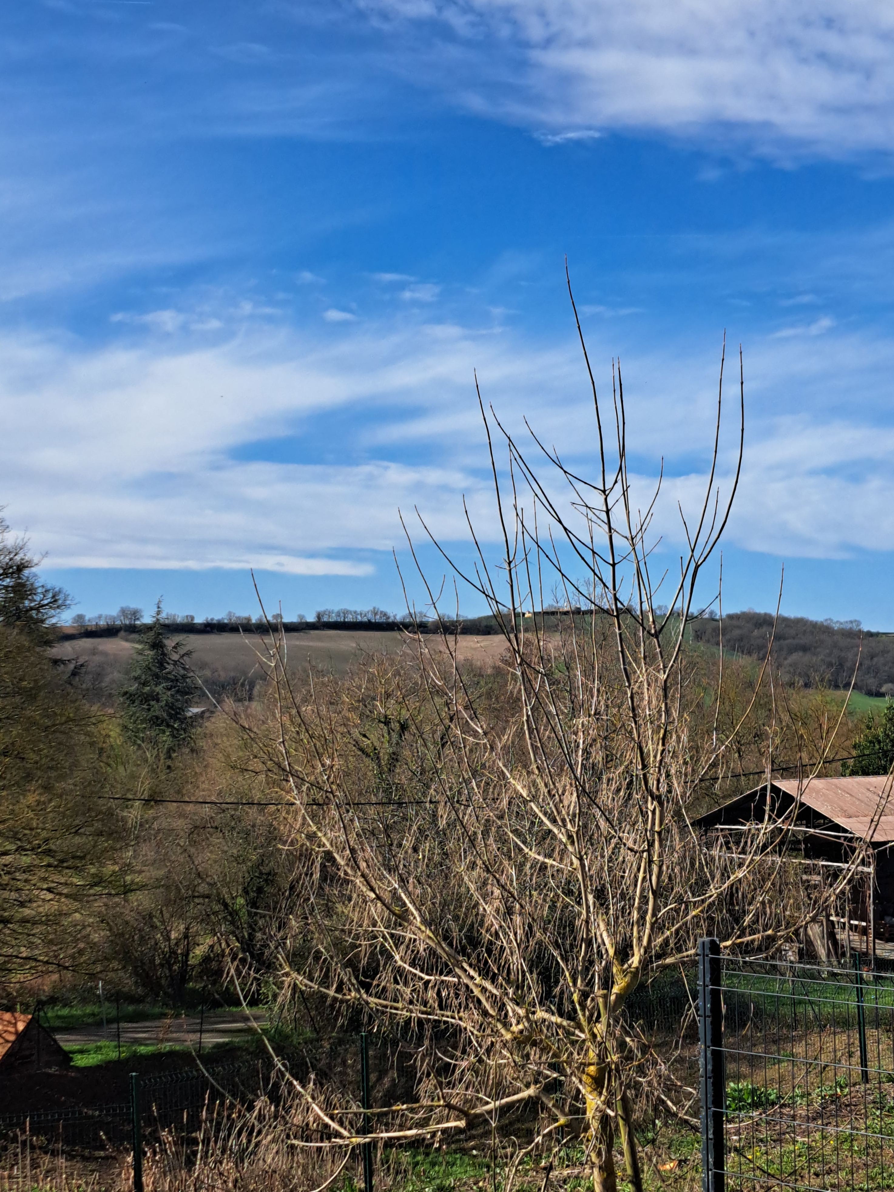 Achat immobilier Maison 4 pièces  120m2 à Auragne (31190) - Photo n°4