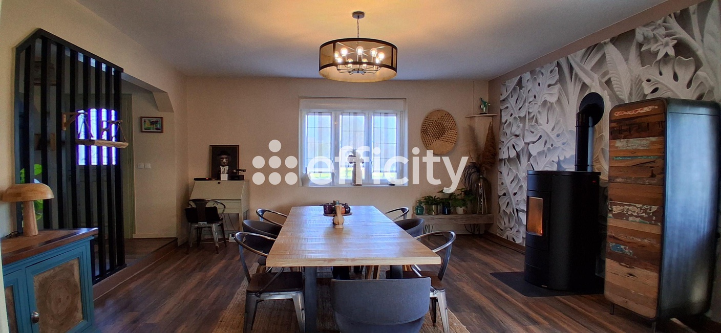 maison 11 pièces - 343m2 à Blèves (72600)