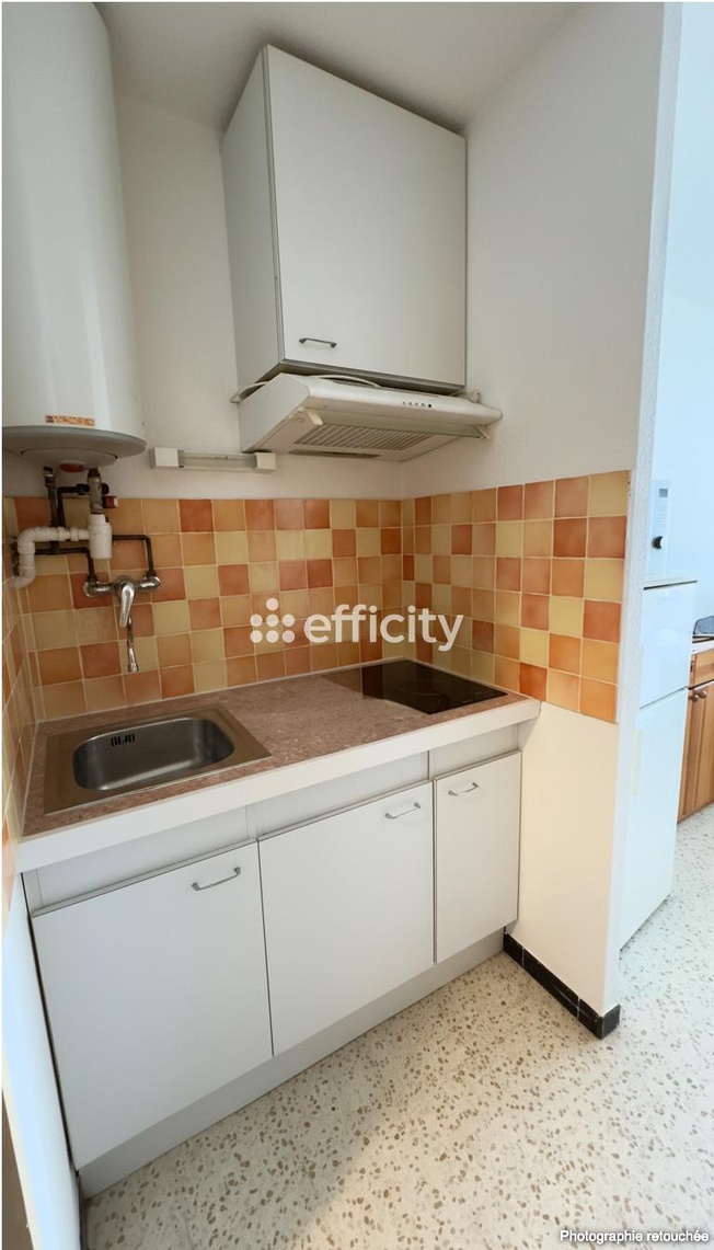 Achat immobilier Appartement 1 pièces  26m2 à La Grande-Motte (34280) - Photo n°6