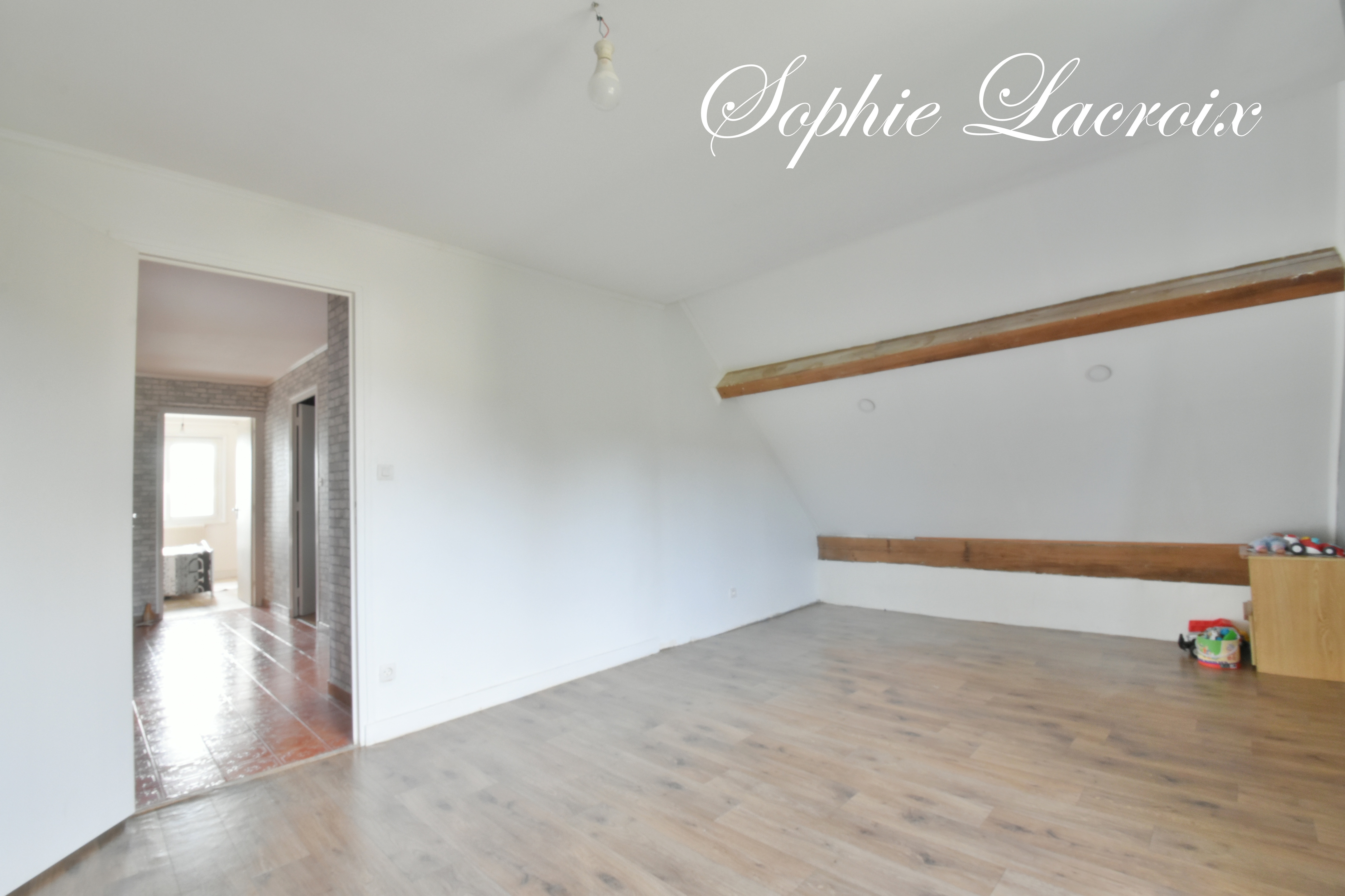 Achat immobilier Maison 6 pièces  149m2 à Salaise-sur-Sanne (38150) - Photo n°7