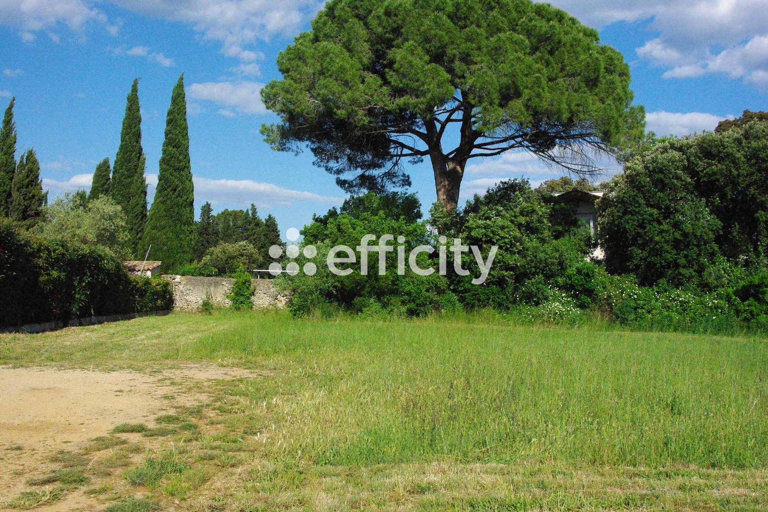 Achat immobilier Terrain   583m2 à Saint-Bauzille-de-la-Sylve (34230) - Photo n°1
