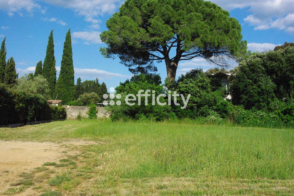 terrain  - 583,0m2 à Saint-Bauzille-de-la-Sylve (34230)