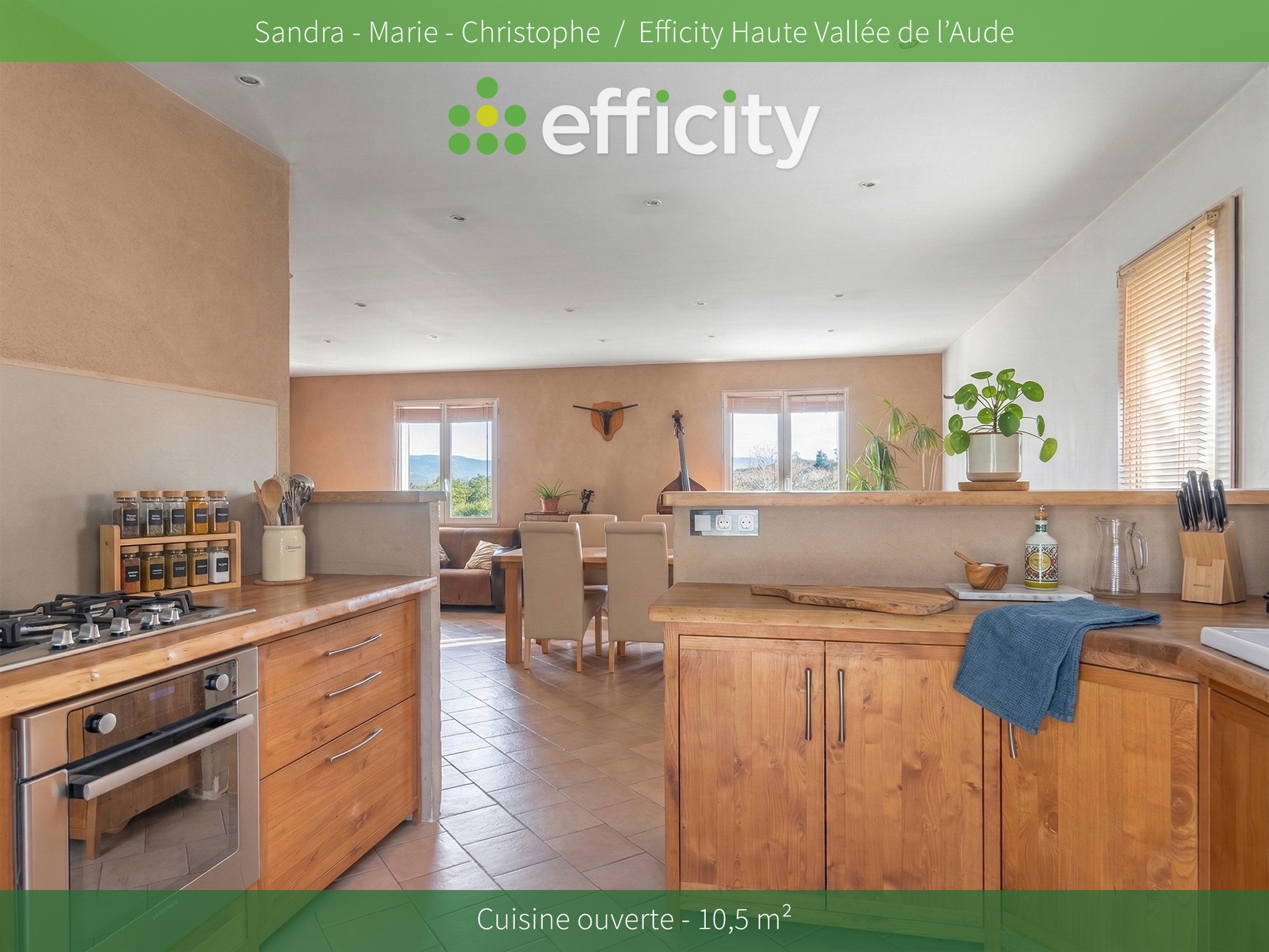 Achat immobilier Maison 6 pièces  156m2 à Roquetaillade-et-Conilhac (11300) - Photo n°5
