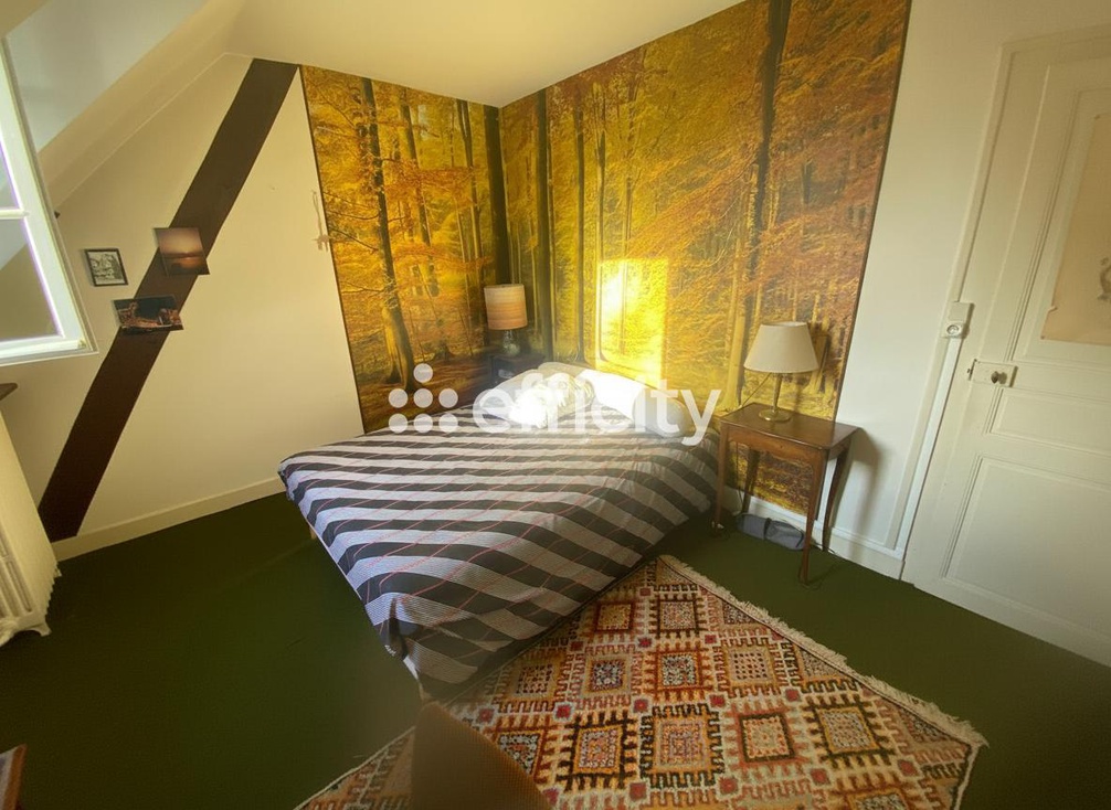 Achat immobilier Maison 9 pièces  230m2 à Montoire-sur-le-Loir (41800) - Photo n°16