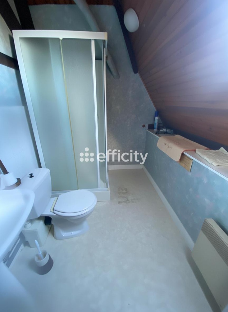 Achat immobilier Maison 9 pièces  230m2 à Montoire-sur-le-Loir (41800) - Photo n°17