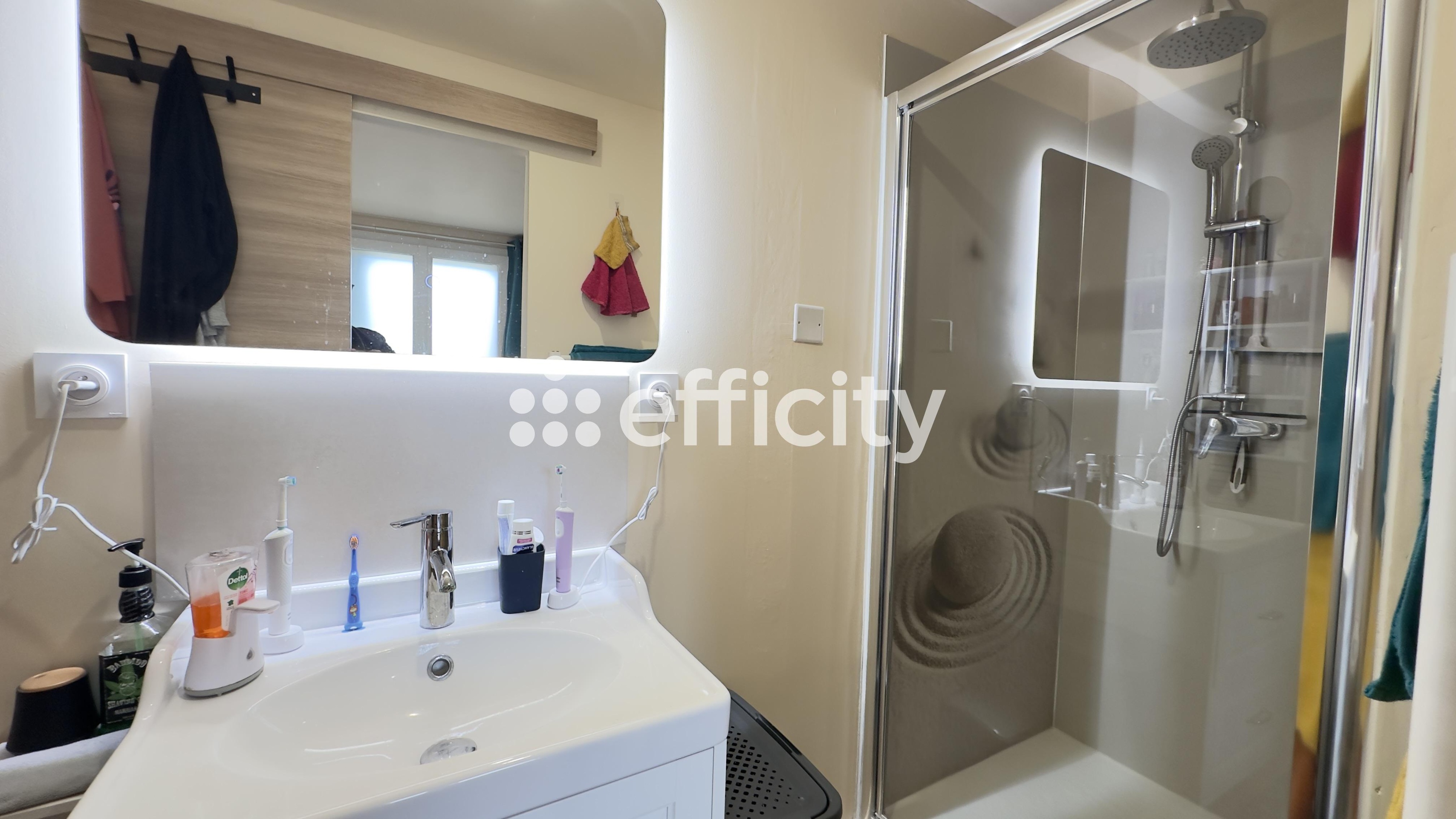 Achat immobilier Maison 8 pièces  205m2 à Pierrelatte (26700) - Photo n°15