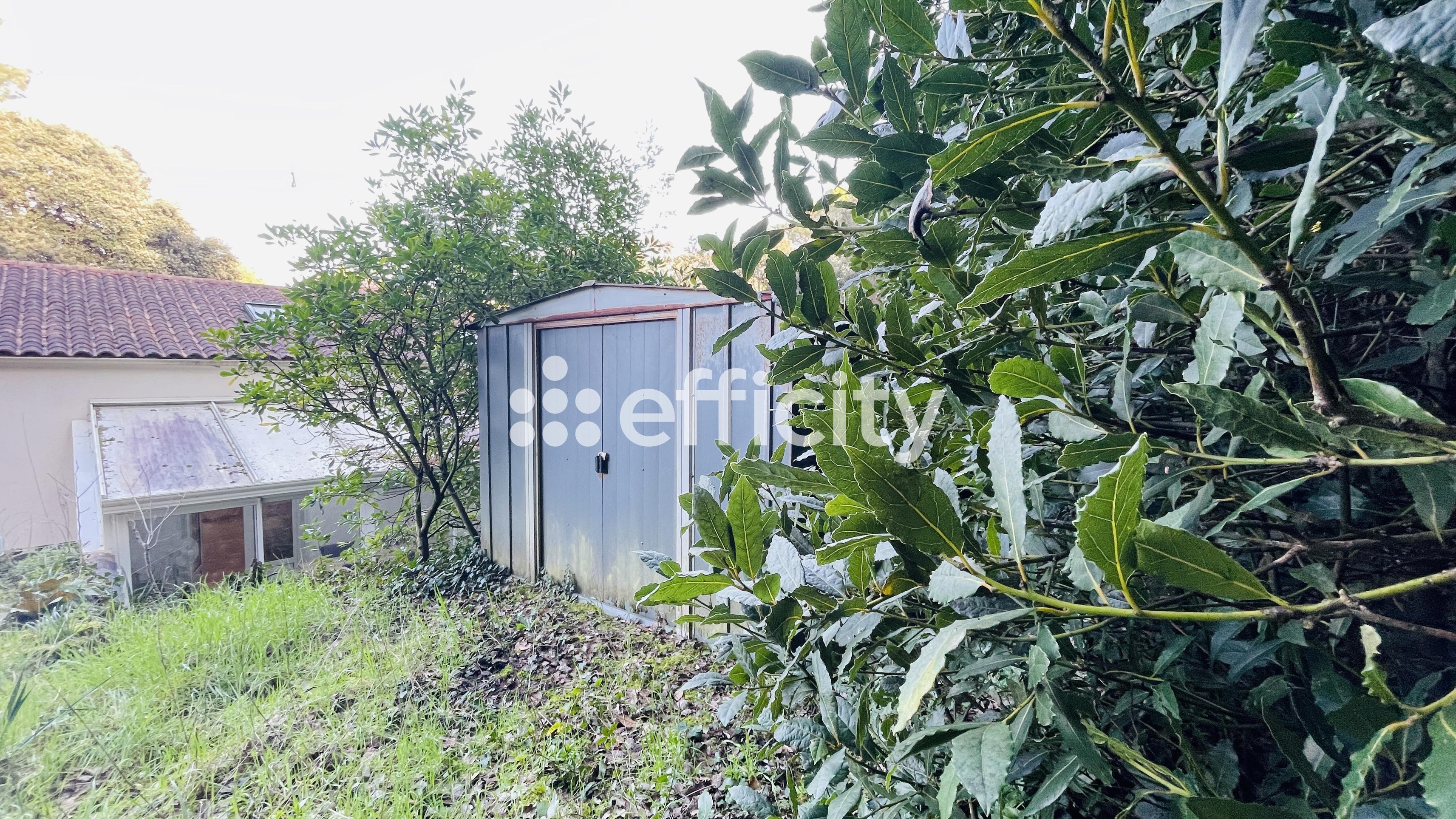 Achat immobilier Maison 4 pièces  78m2 à Dolus-d'Oléron (17550) - Photo n°10