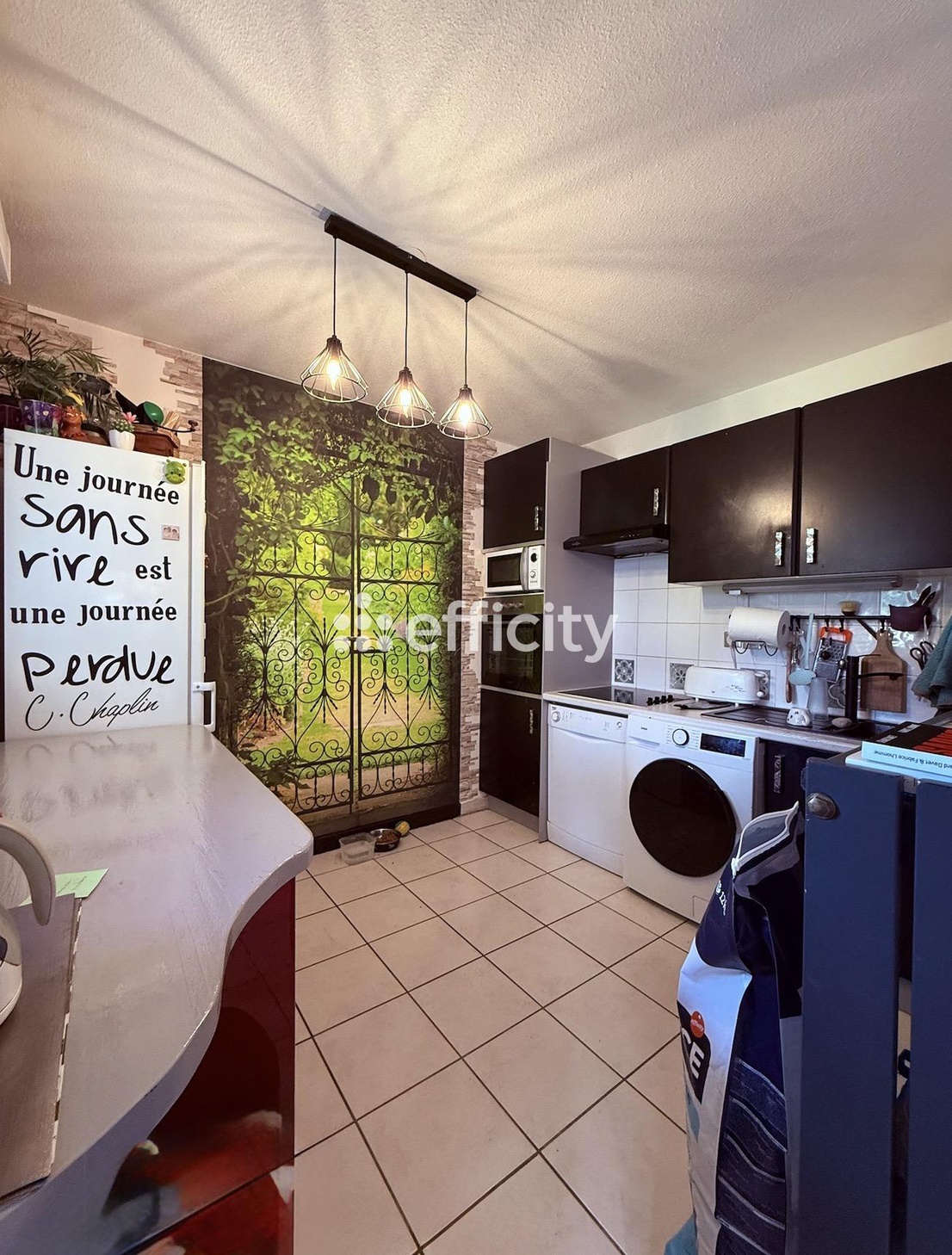 Achat immobilier Appartement 3 pièces  58m2 à Aucamville (31140) - Photo n°6