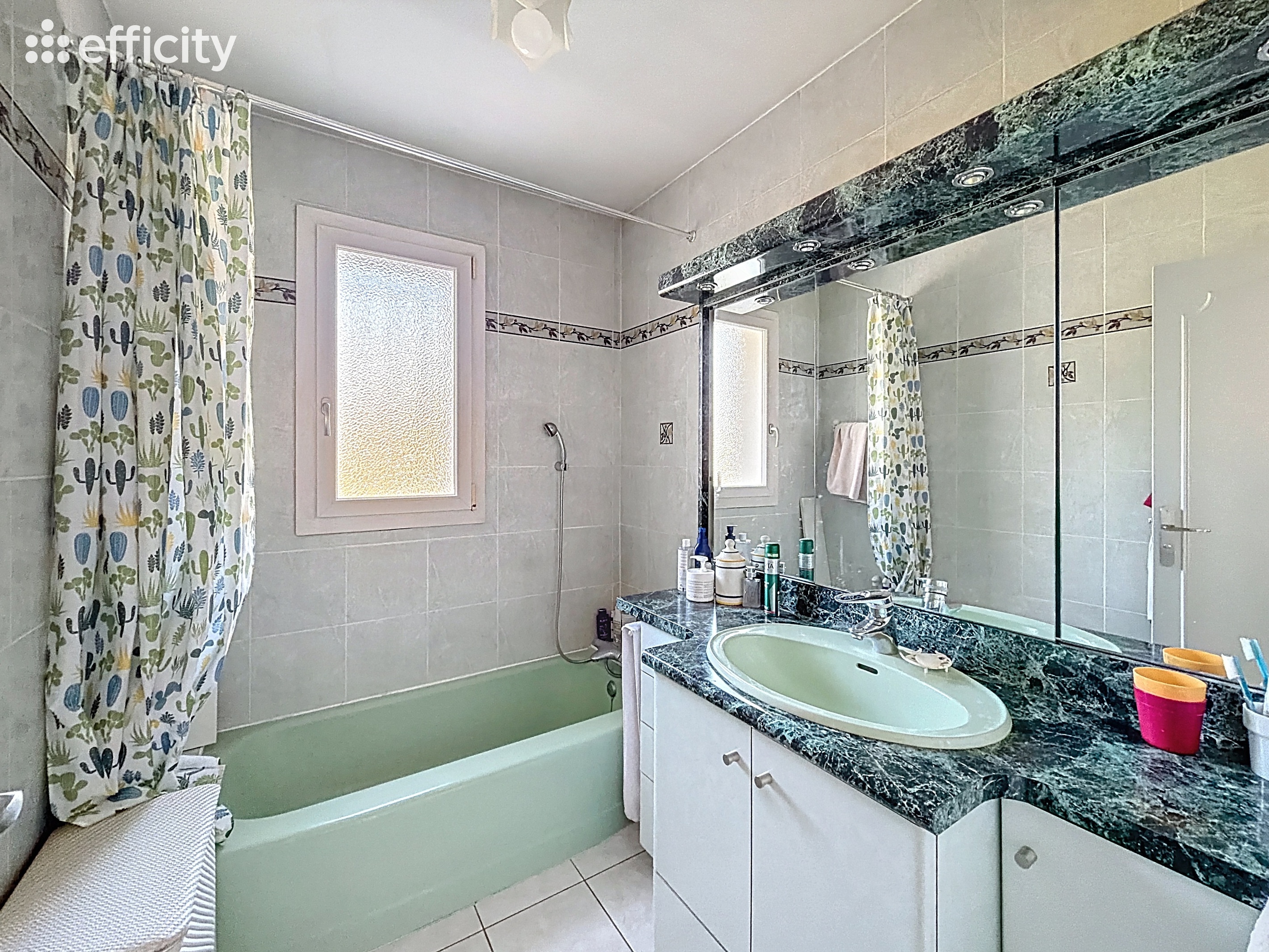 Achat immobilier Maison 6 pièces  226m2 à Saint-Quentin-sur-Isère (38210) - Photo n°12