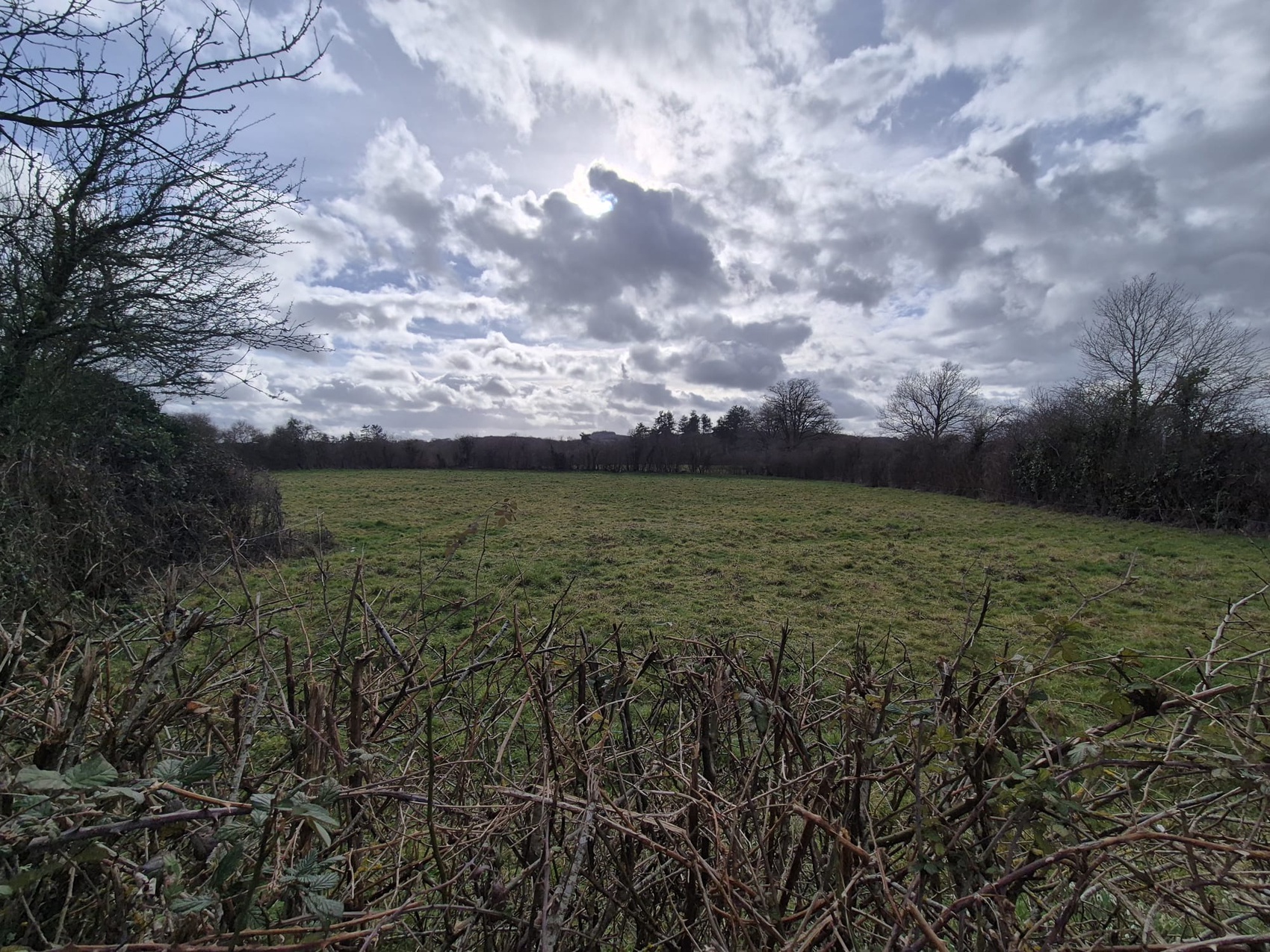 Achat immobilier Maison 2 pièces  77m2 à Pouligny-Notre-Dame (36160) - Photo n°15