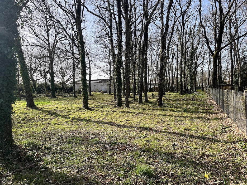 Achat immobilier Terrain   1417m2 à Médis (17600) - Photo n°1