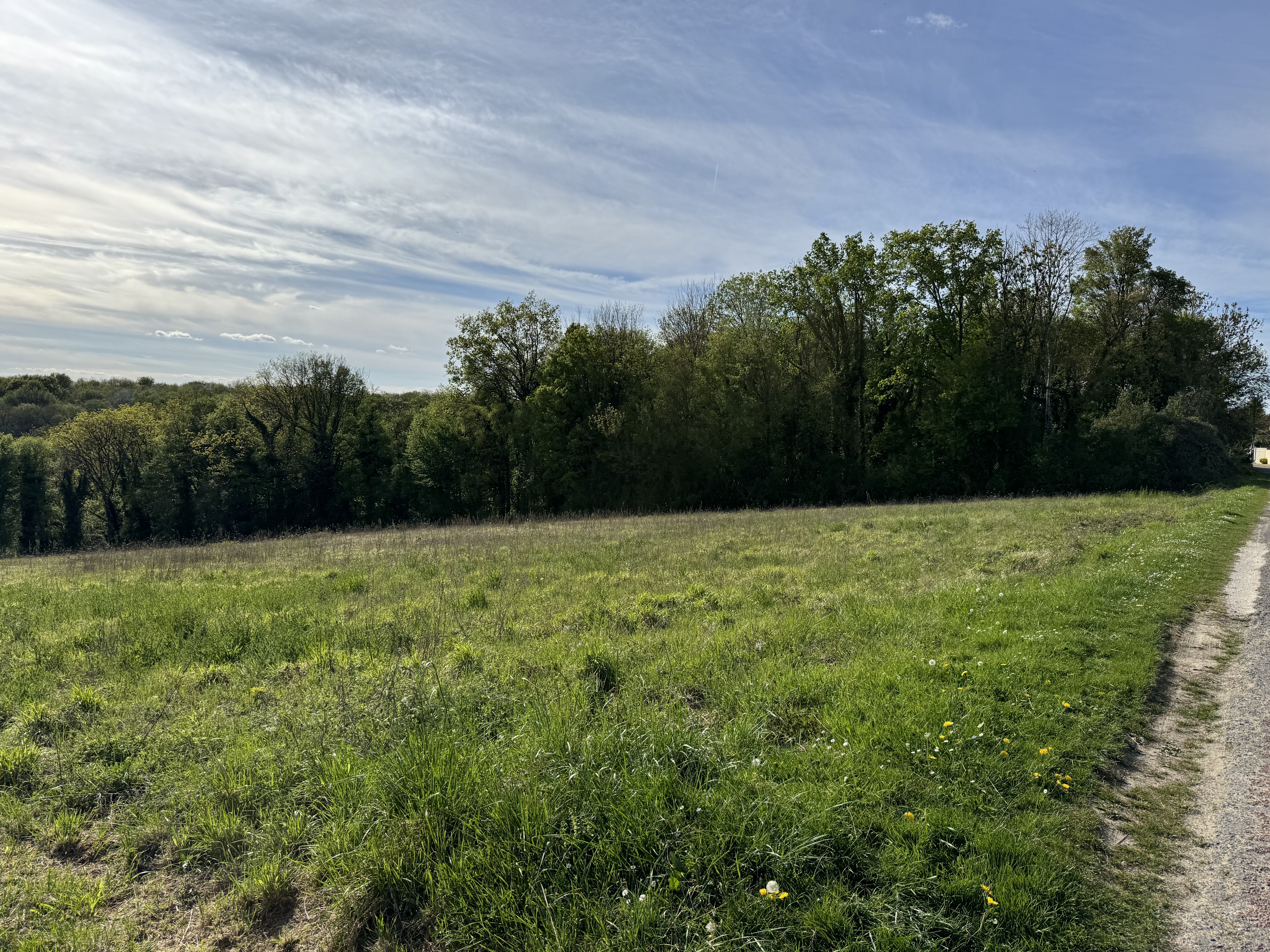 Achat immobilier Terrain   2261m2 à Montreuil-aux-Lions (02310) - Photo n°8