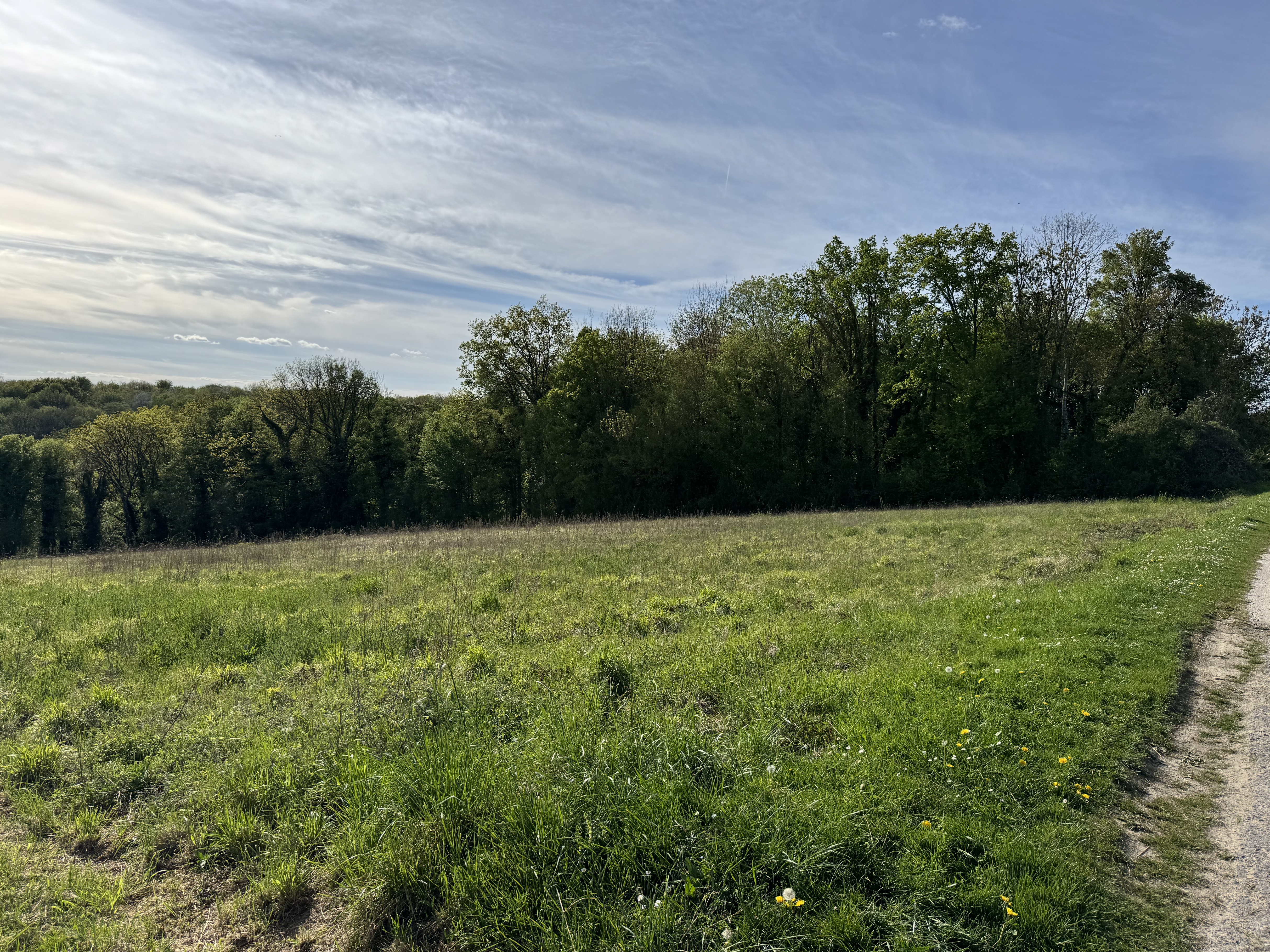 Achat immobilier Terrain   2261m2 à Montreuil-aux-Lions (02310) - Photo n°5