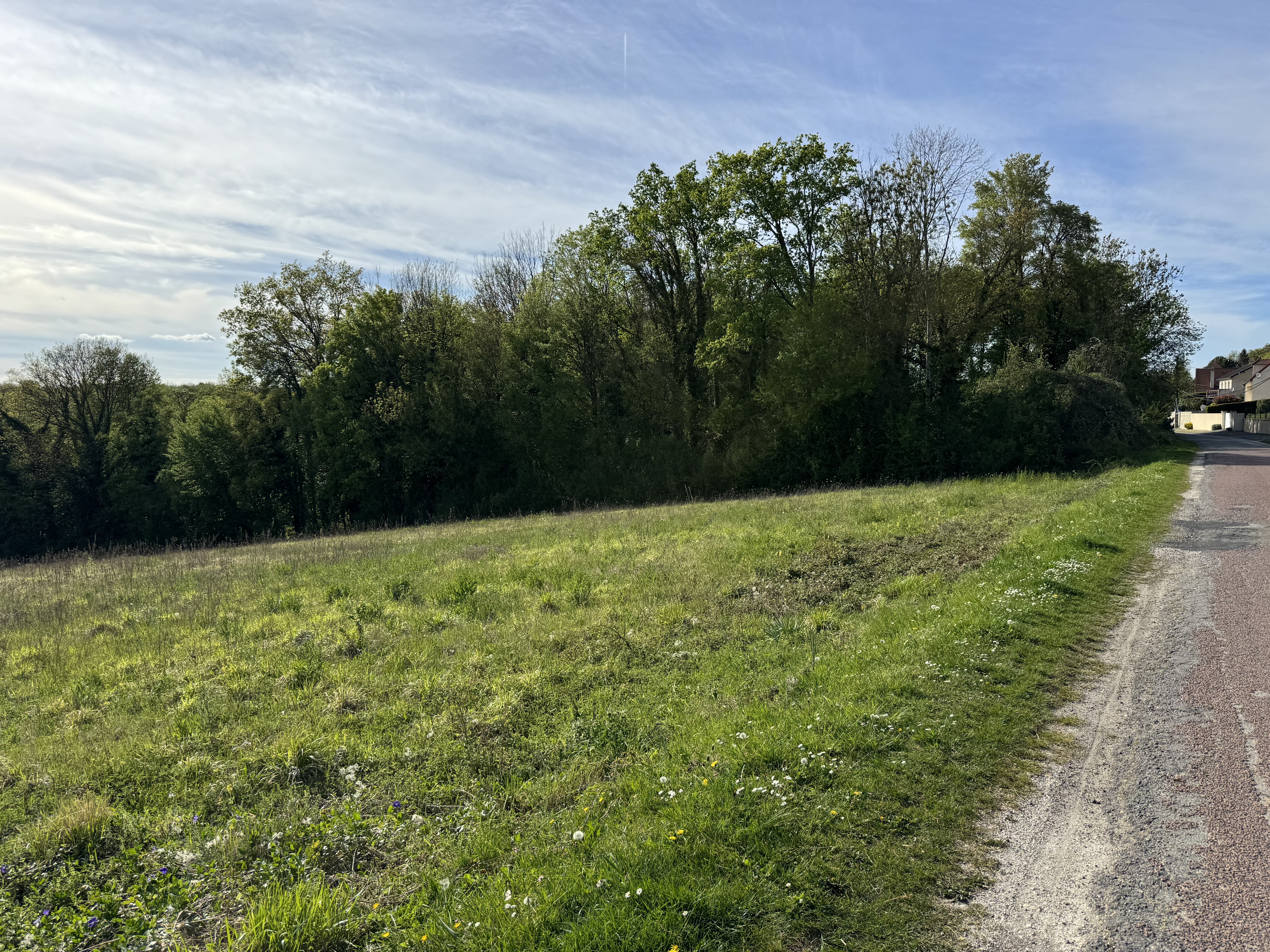 Achat immobilier Terrain   2261m2 à Montreuil-aux-Lions (02310) - Photo n°6