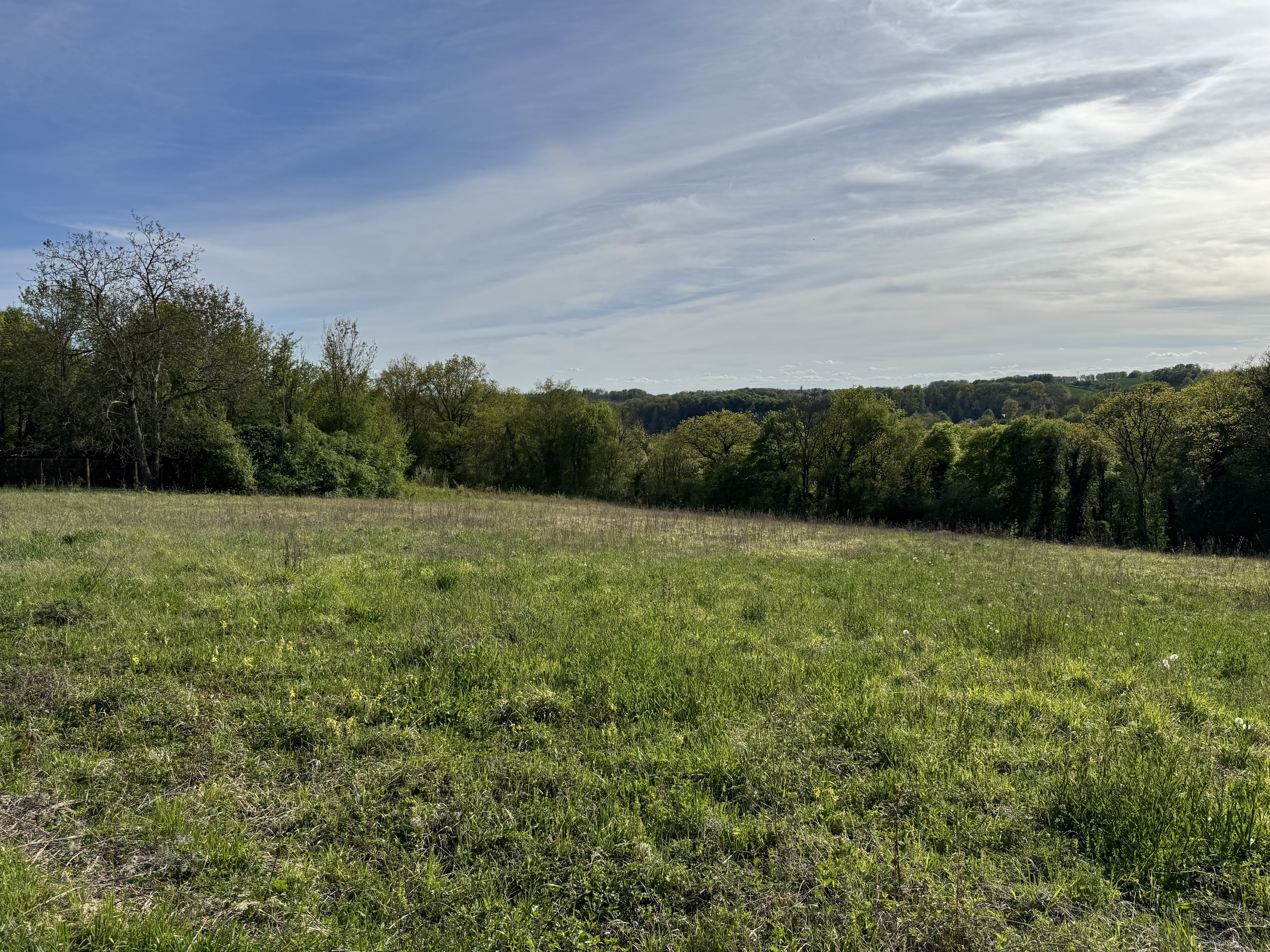 Achat immobilier Terrain   2261m2 à Montreuil-aux-Lions (02310) - Photo n°4