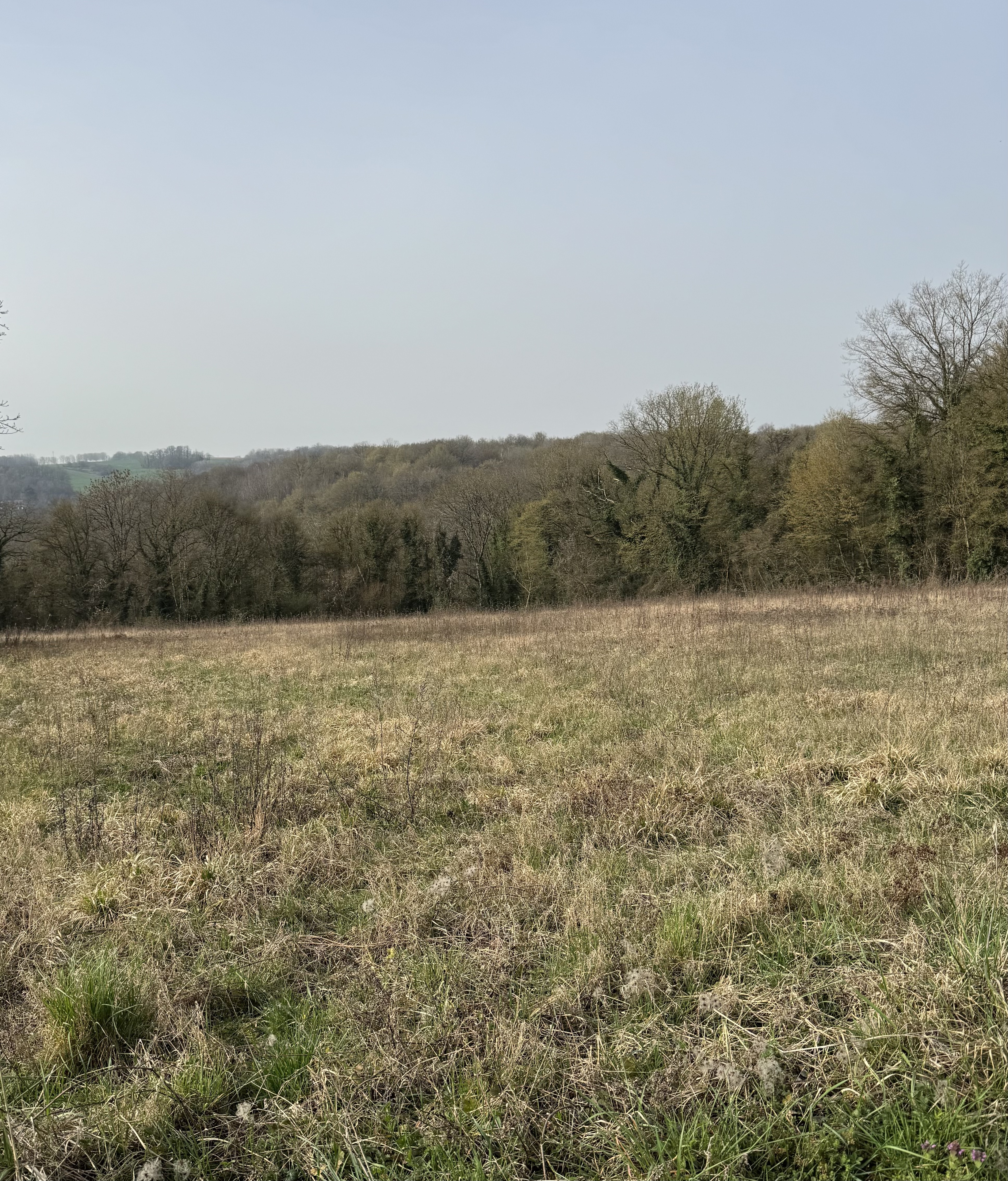 Achat immobilier Terrain   2261m2 à Montreuil-aux-Lions (02310) - Photo n°7