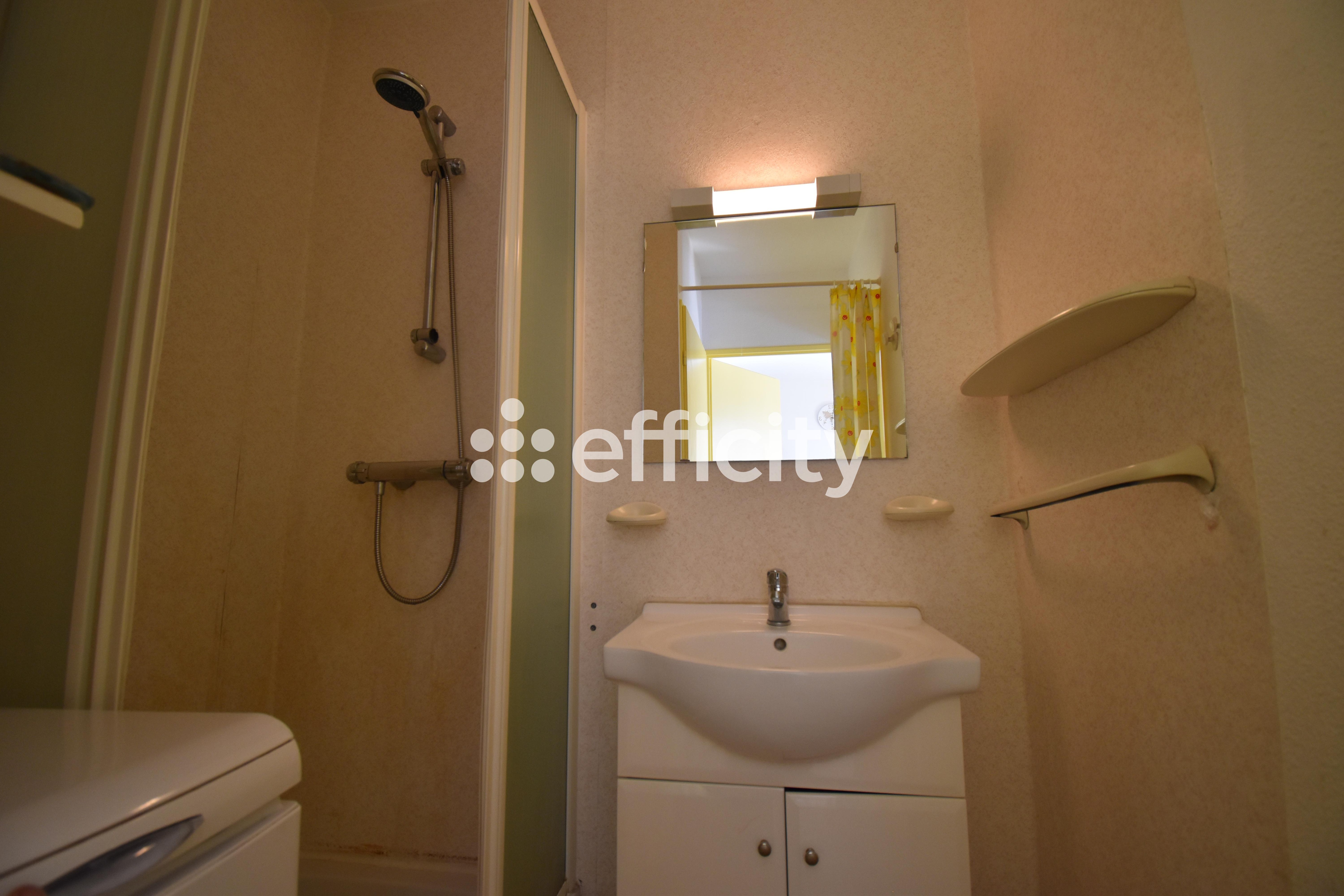 Achat immobilier Appartement 2 pièces  32m2 à Saint-Cyprien (66750) - Photo n°5