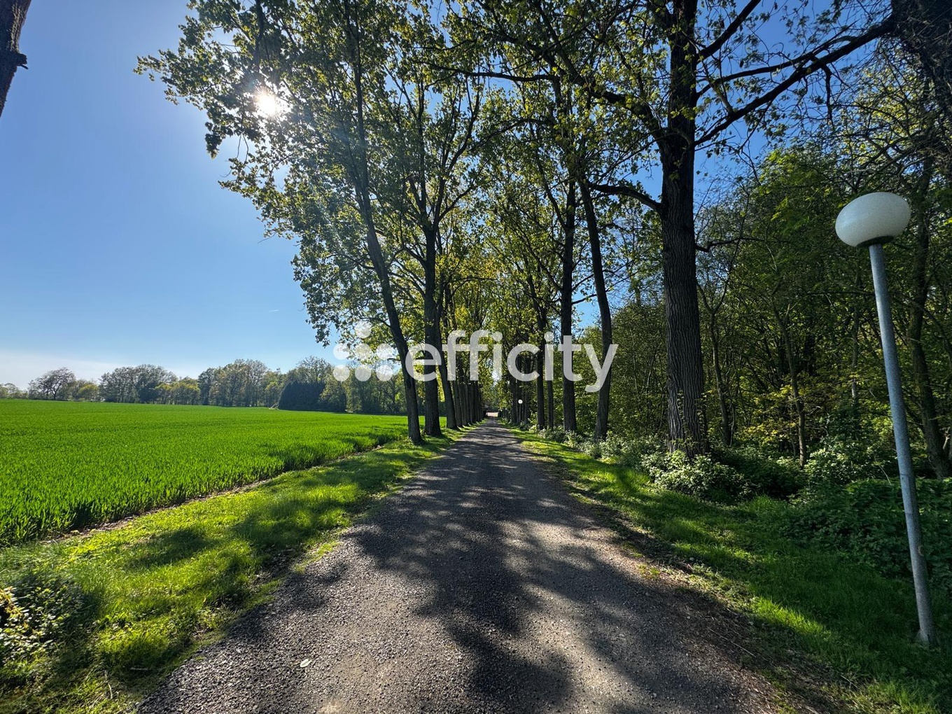 Achat immobilier Maison 9 pièces  270m2 à Vendhuile (02420) - Photo n°26