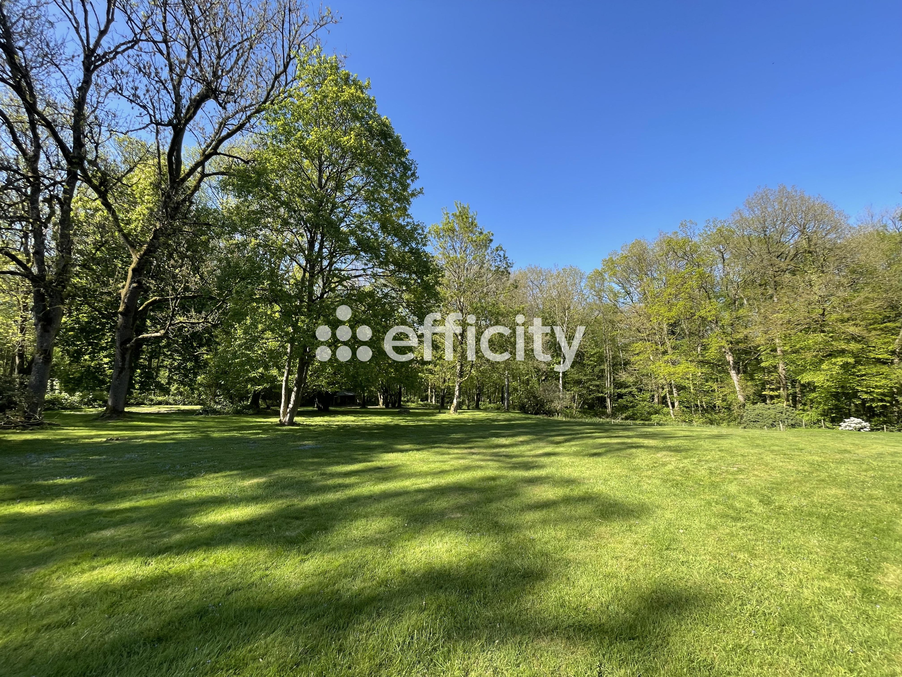 Achat immobilier Maison 9 pièces  270m2 à Vendhuile (02420) - Photo n°25