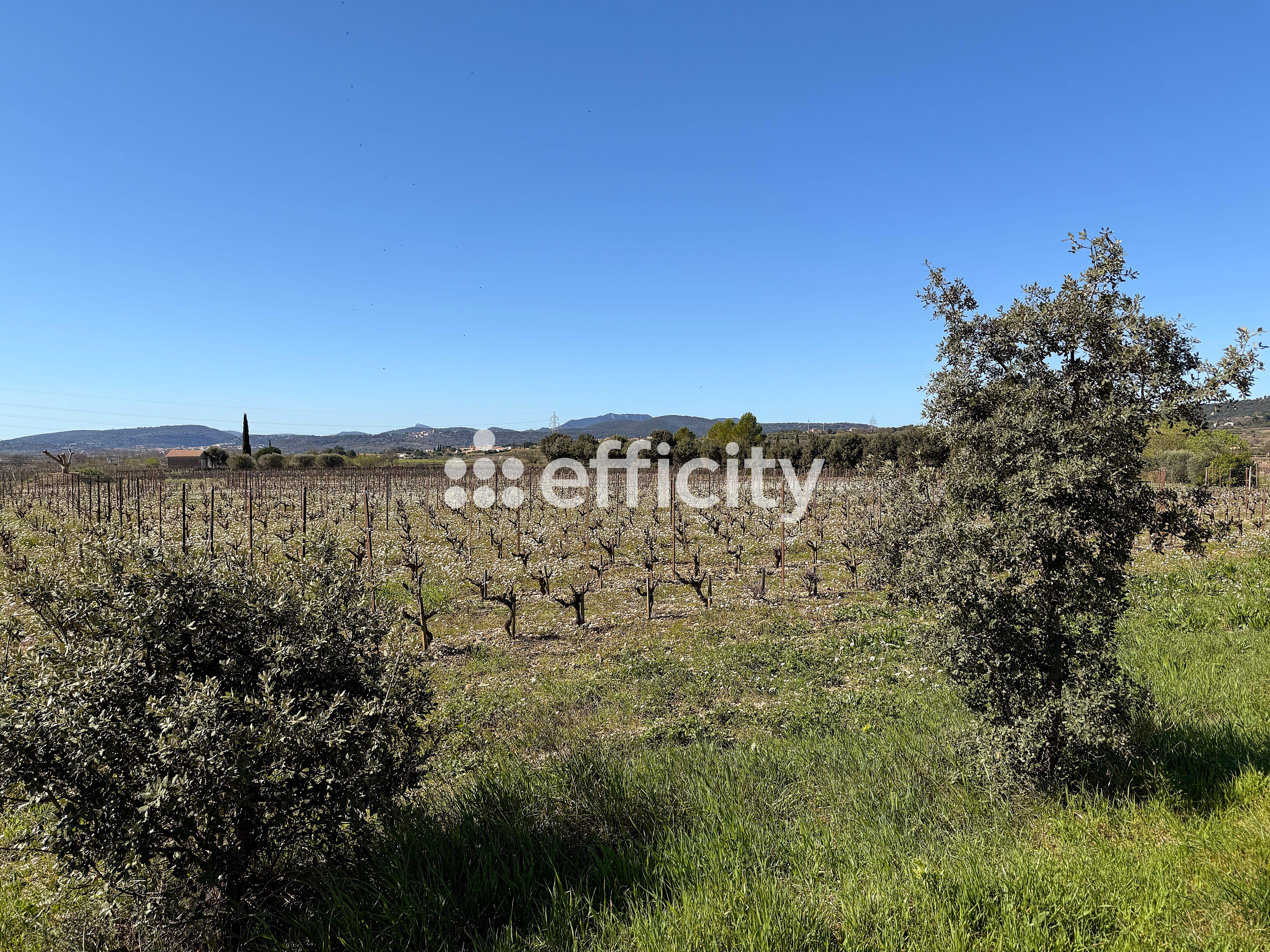 Achat immobilier Terrain   777m2 à Jonquières (34725) - Photo n°8