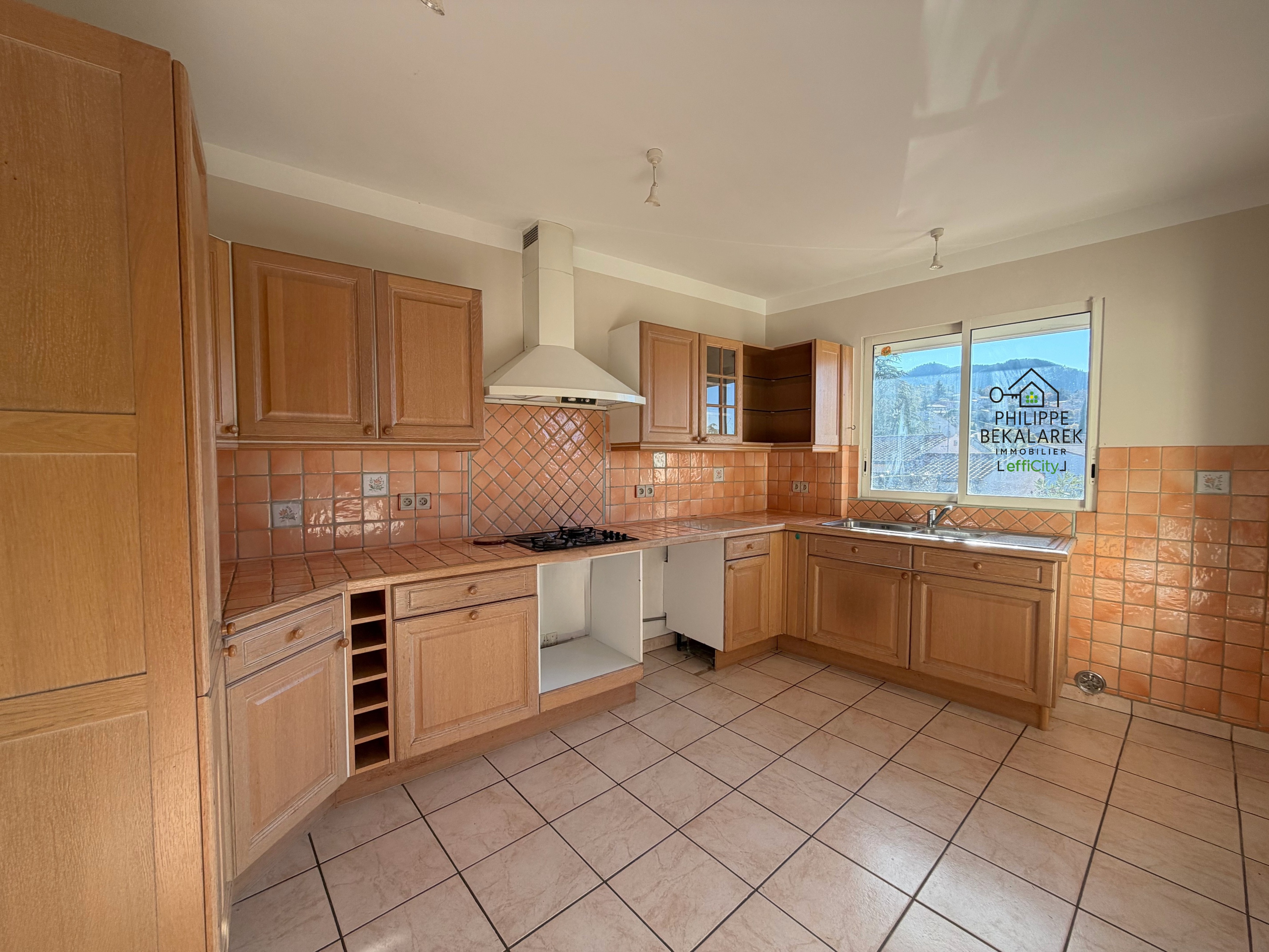 Achat immobilier Maison 7 pièces  128m2 à L'Escale (04160) - Photo n°6