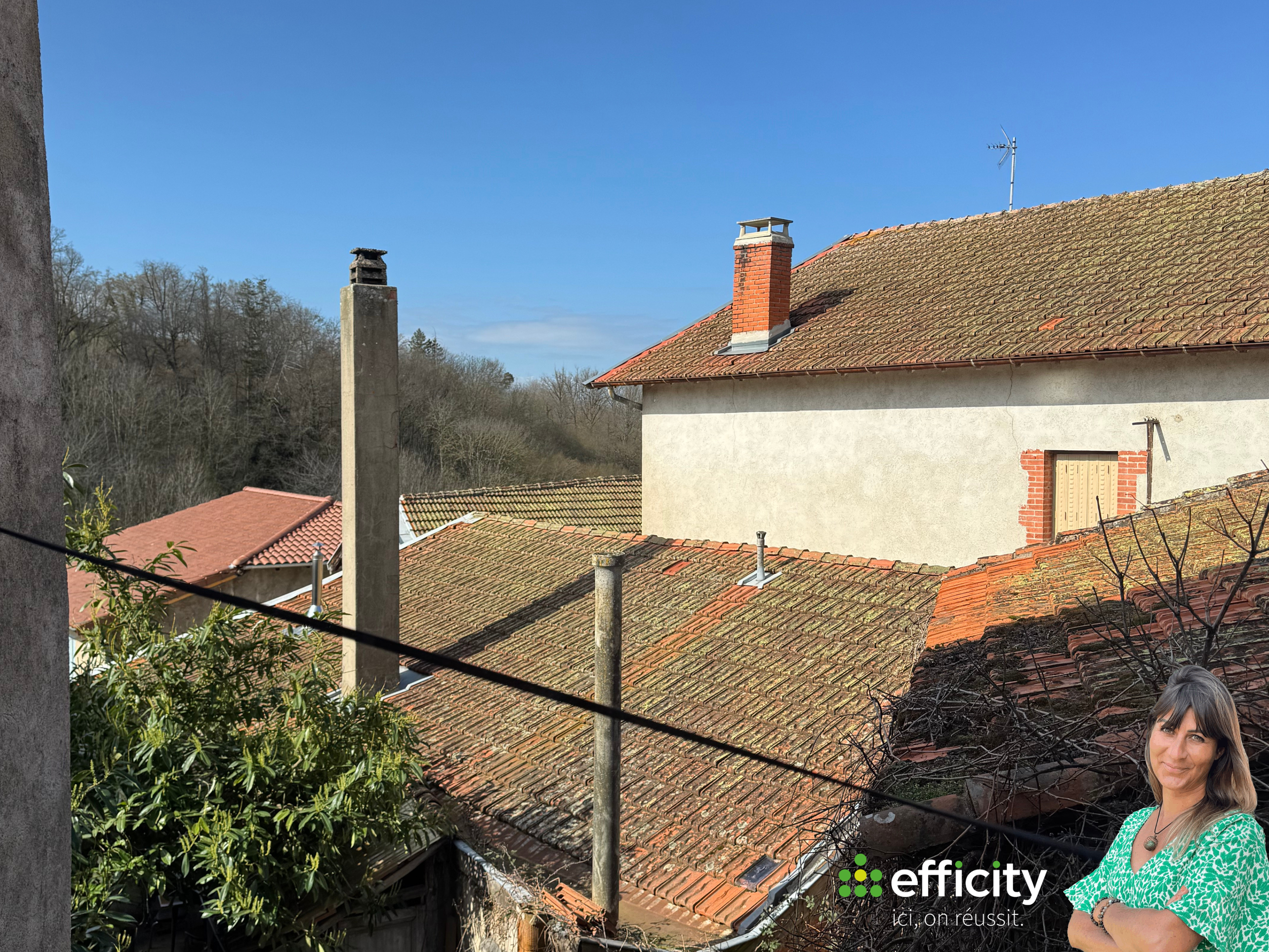 Achat immobilier Maison 2 pièces  55m2 à Néronde (42510) - Photo n°7