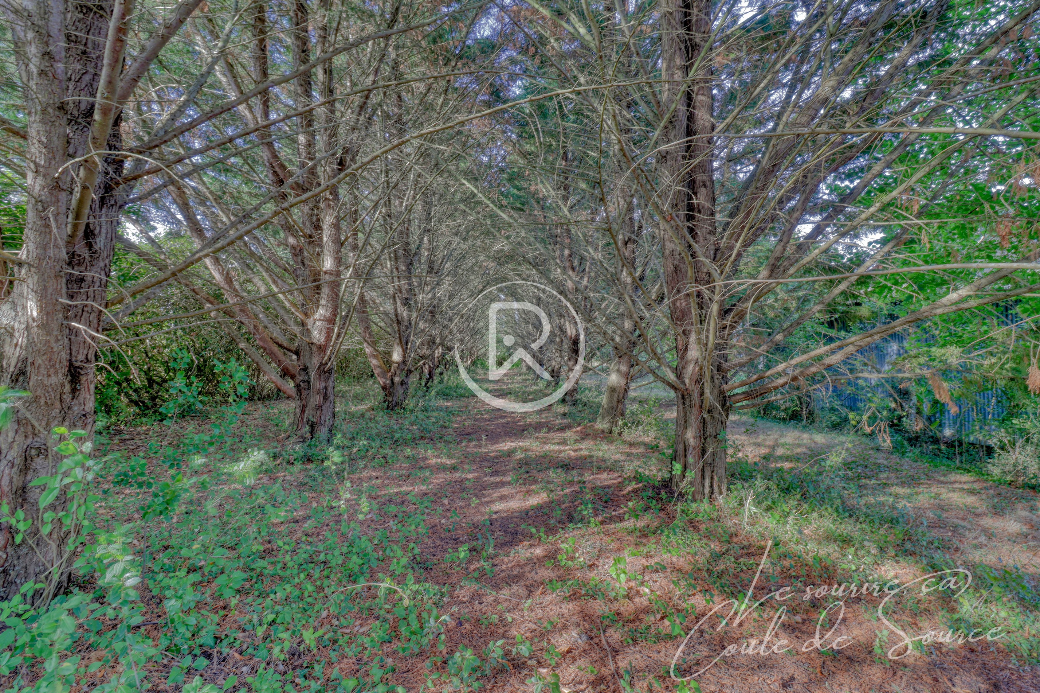 Achat immobilier Maison 3 pièces  140m2 à Aubiet (32270) - Photo n°15