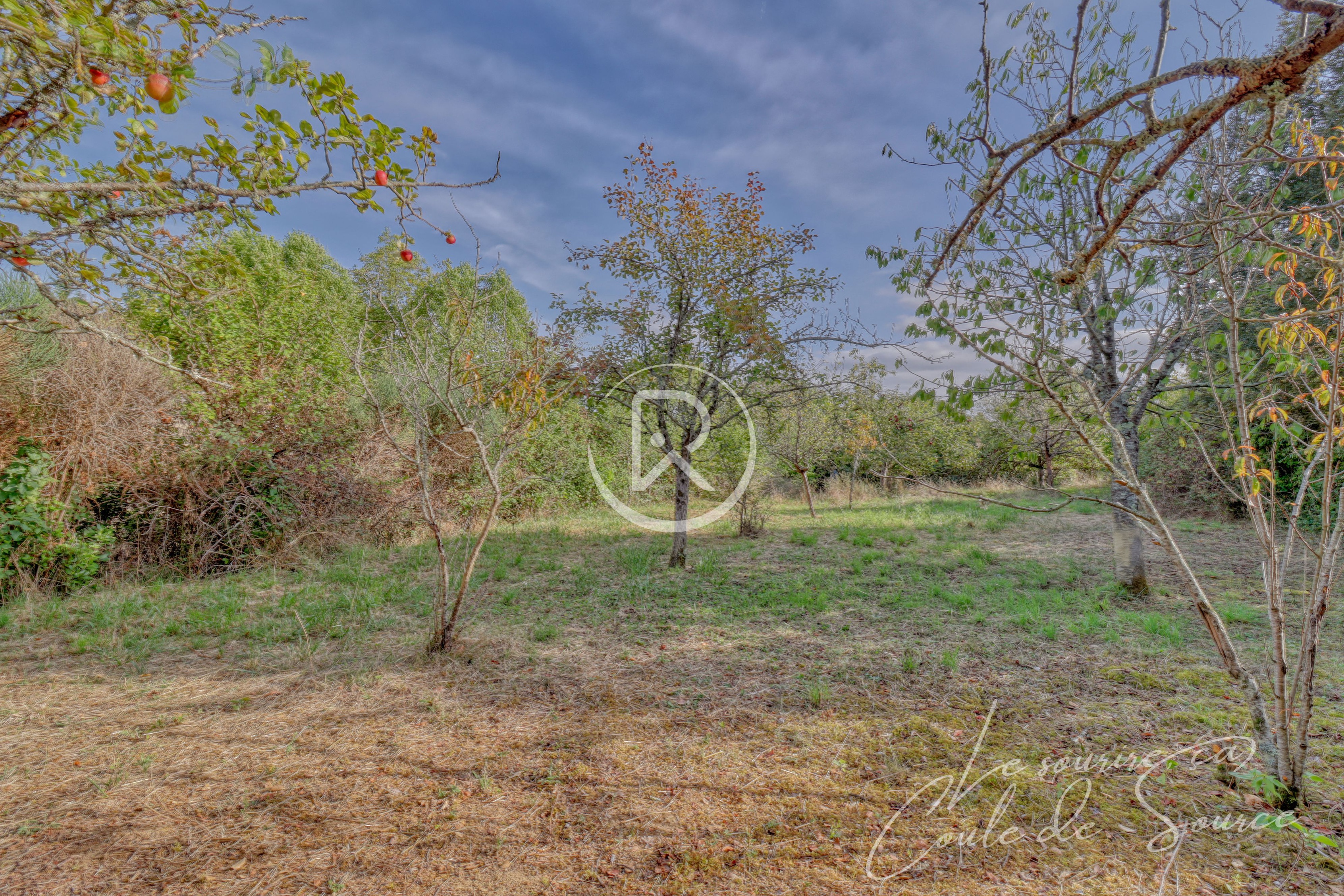 Achat immobilier Maison 3 pièces  140m2 à Aubiet (32270) - Photo n°9