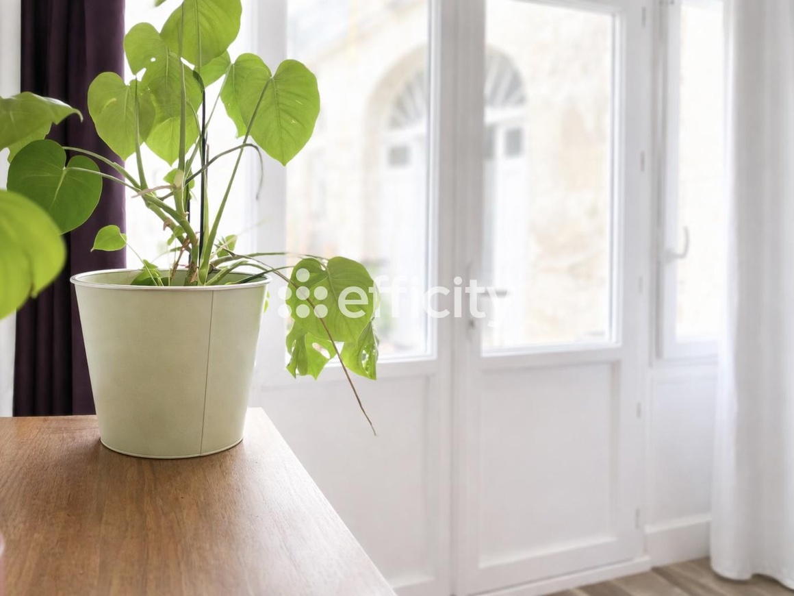 Achat immobilier Maison 7 pièces  220m2 à Saint-Aignan (41110) - Photo n°6