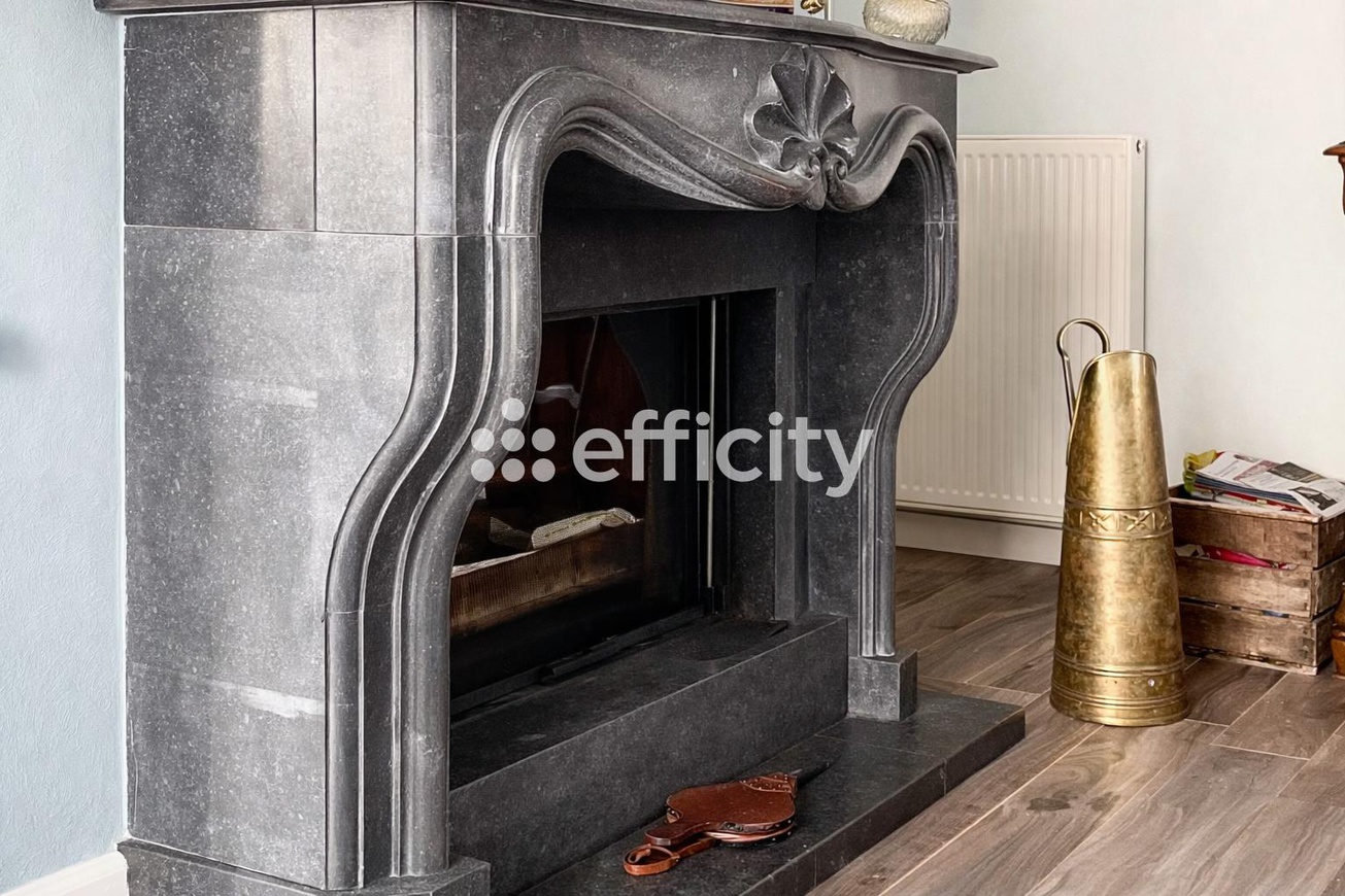 Achat immobilier Maison 7 pièces  220m2 à Saint-Aignan (41110) - Photo n°4