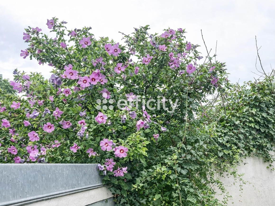 Achat immobilier Maison 7 pièces  220m2 à Saint-Aignan (41110) - Photo n°8