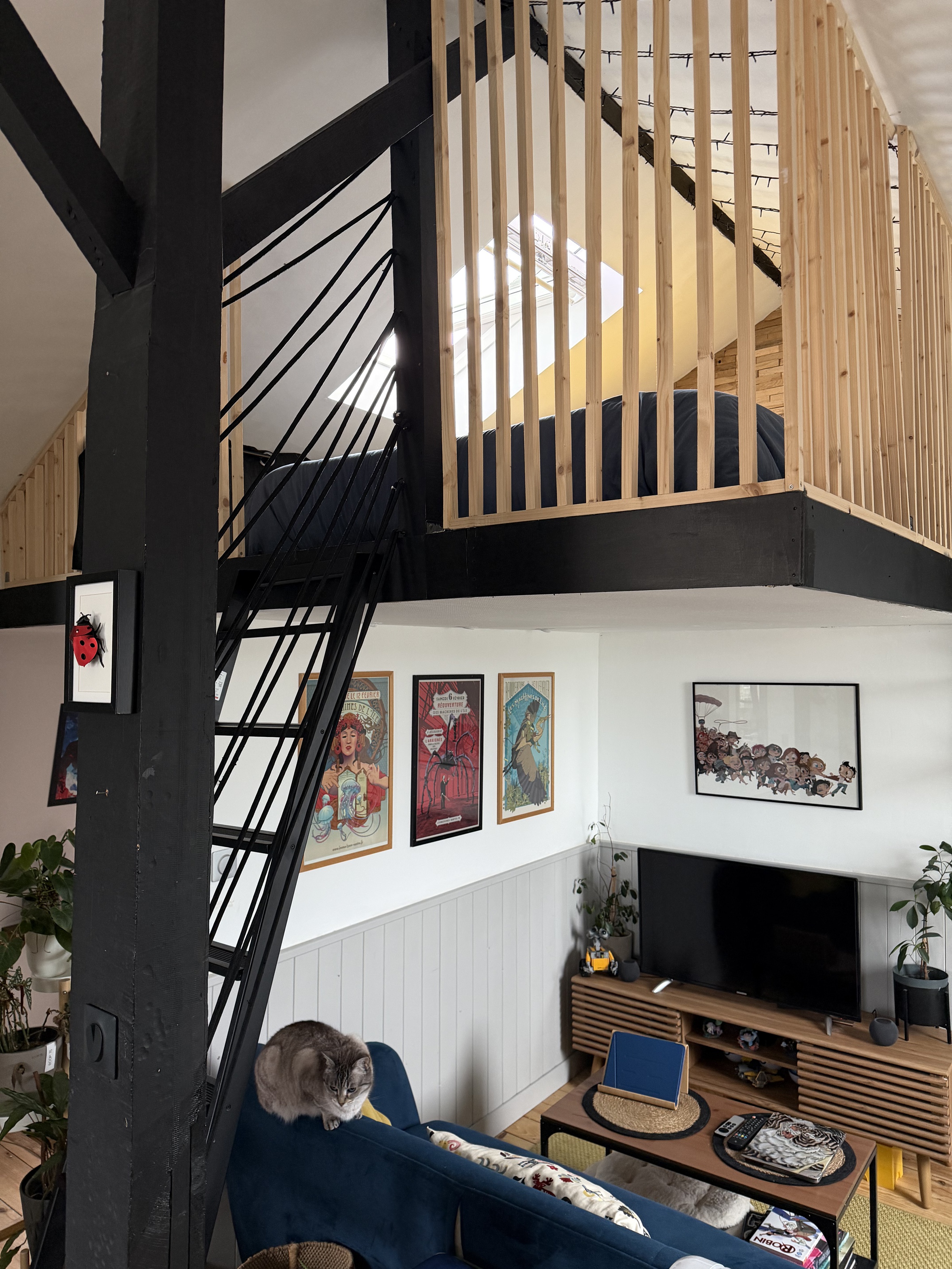 appartement 1 pièces - 50m2 à Lille (59800)