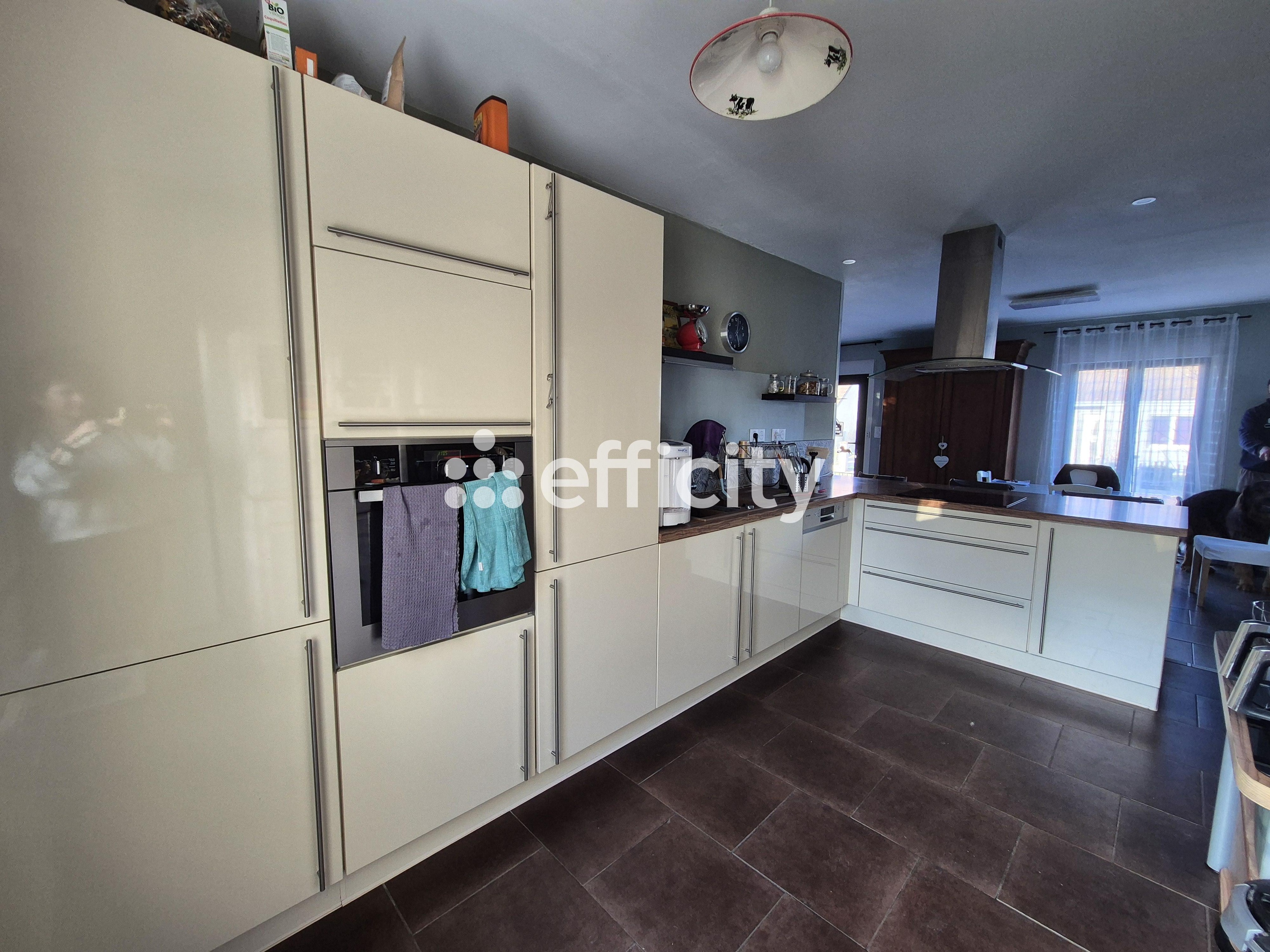 Achat immobilier Maison 5 pièces  140m2 à Valloire-sur-Cisse (41150) - Photo n°9