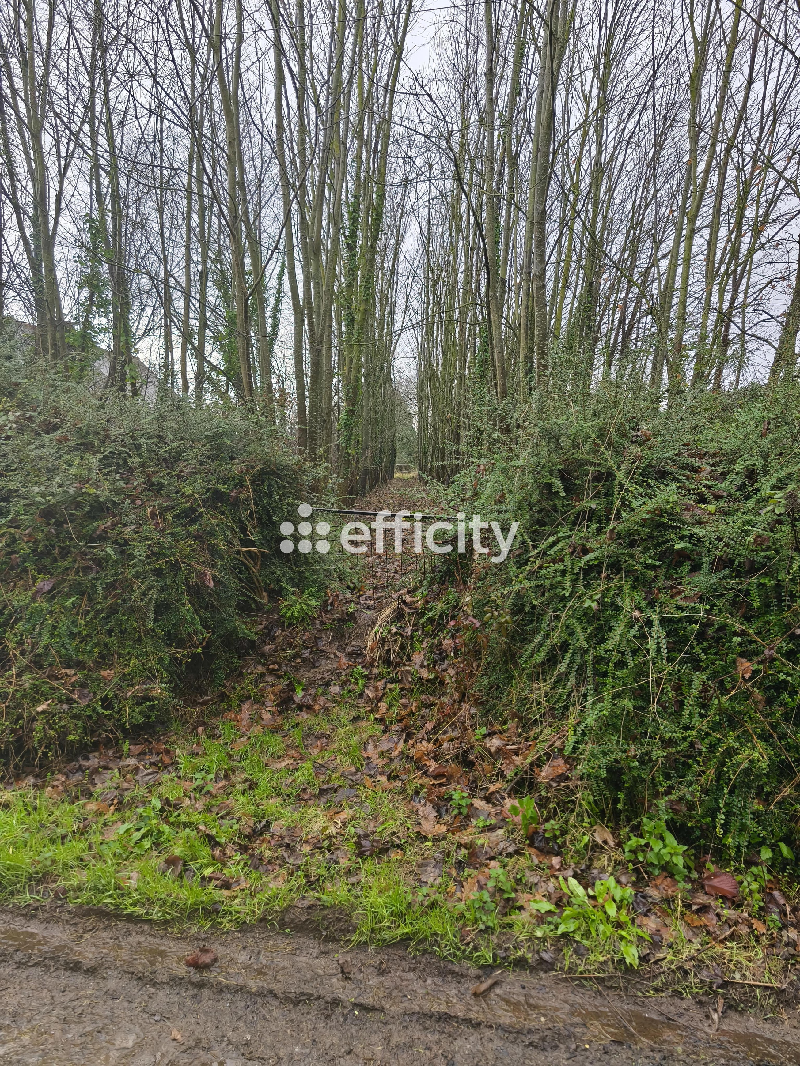 Achat immobilier Terrain   2069m2 à Caulnes (22350) - Photo n°1