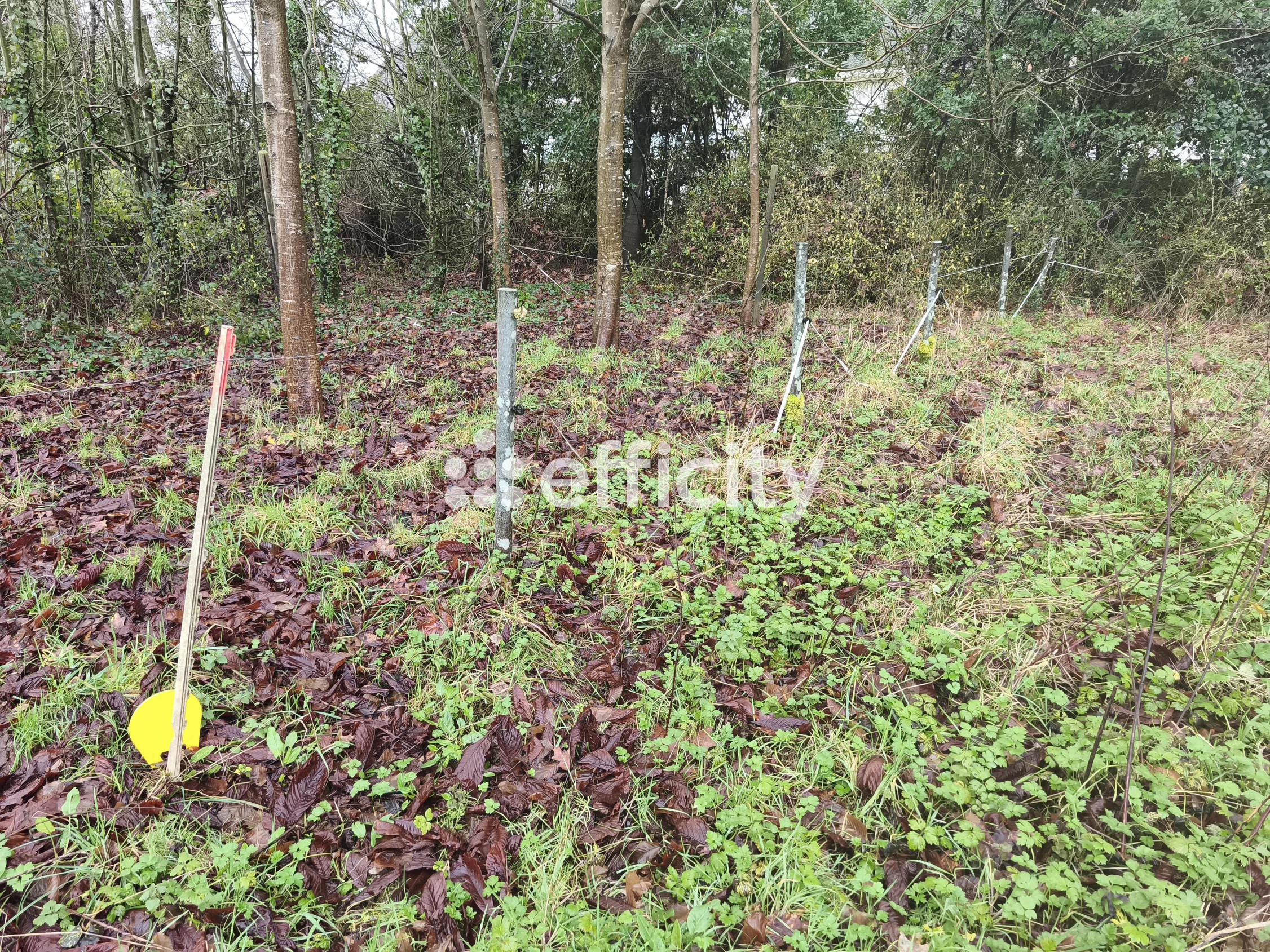 terrain  - 2069m2 à Caulnes (22350)