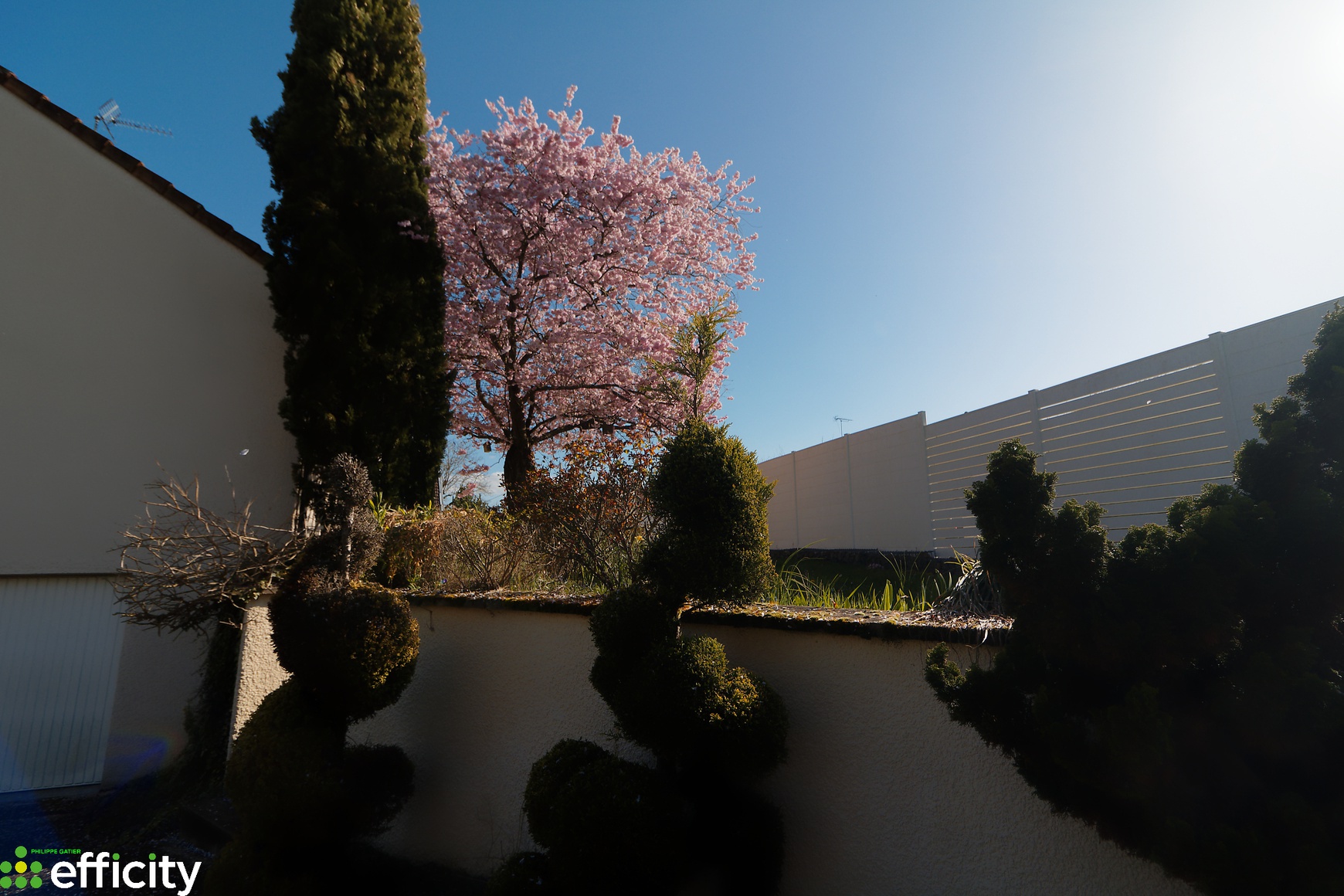 Achat immobilier Maison 7 pièces  132m2 à Magny-sur-Tille (21110) - Photo n°6