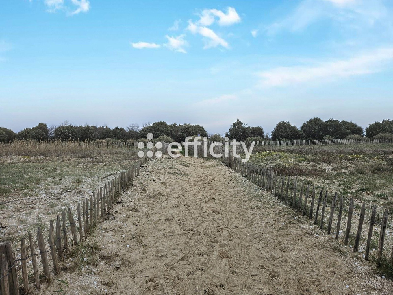 Achat immobilier Maison 4 pièces  94m2 à Saint-Froult (17780) - Photo n°28