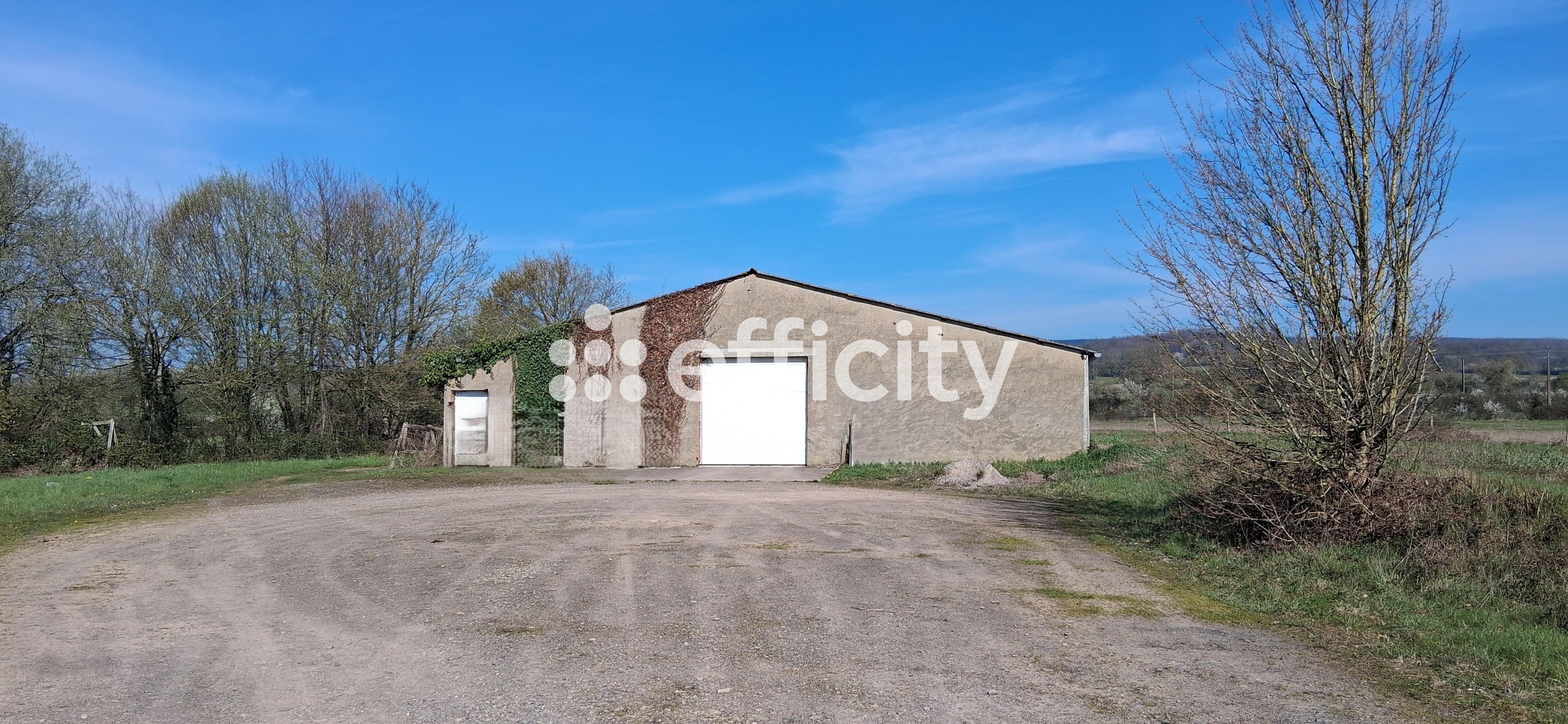 local-commercial  - 600,0m2 à Lonrai (61250)