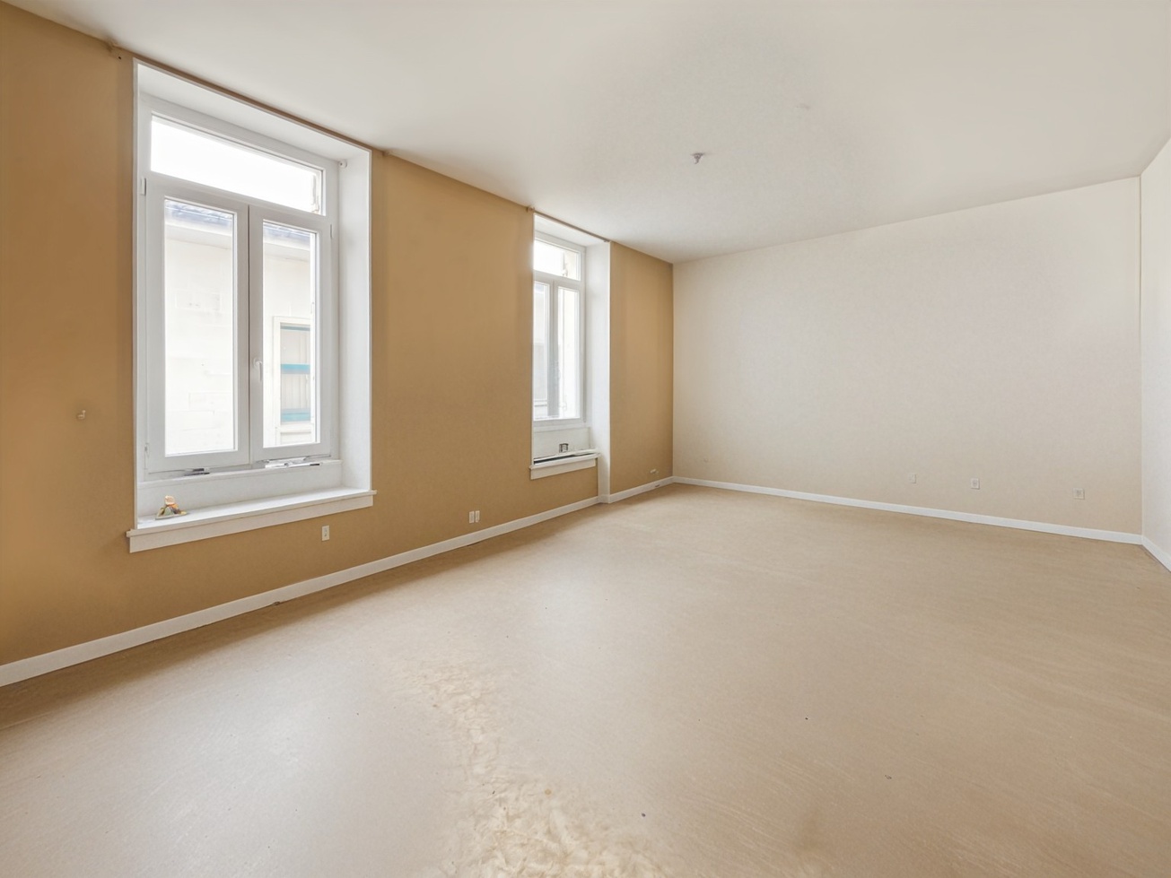 Achat immobilier Immeuble 8 pièces  301m2 à Brizambourg (17770) - Photo n°1