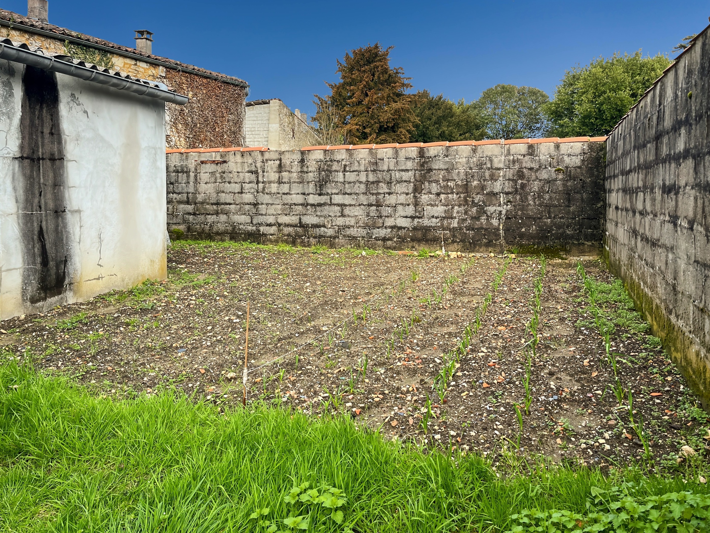 Achat immobilier Immeuble 8 pièces  301m2 à Brizambourg (17770) - Photo n°25